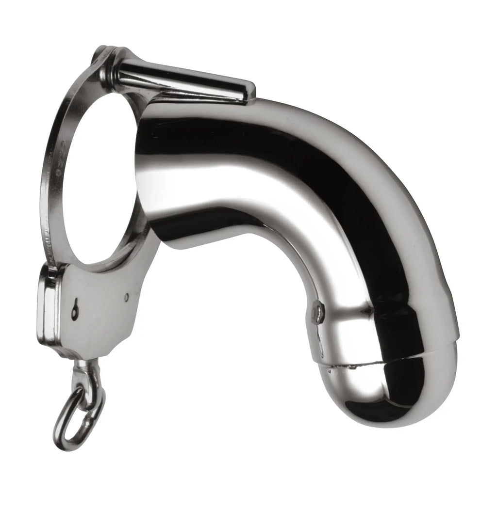 Master Series Stainless Steel Cock Cage: A polished, silver-colored metal device with a curved tube and base ring.