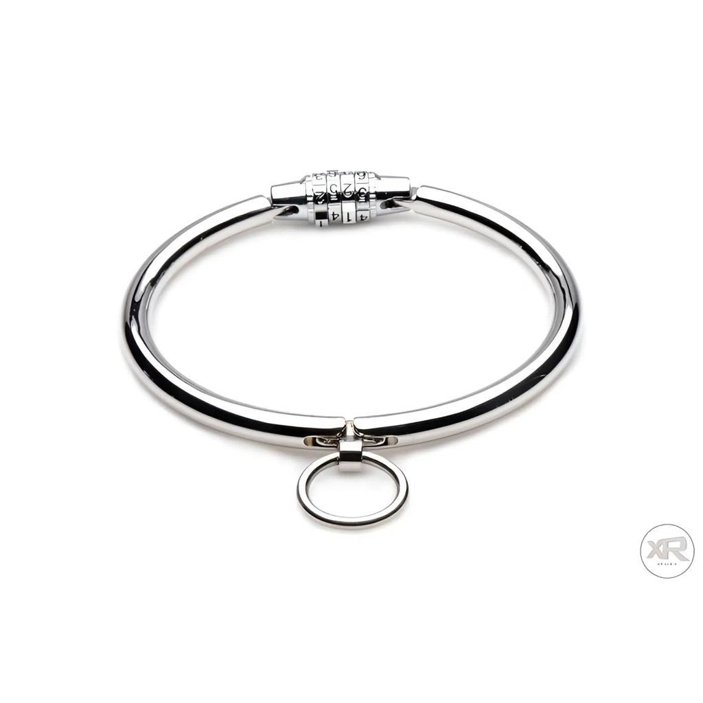 Master Series stainless steel silver collar with a central O-ring and a combination lock closure on a white background.