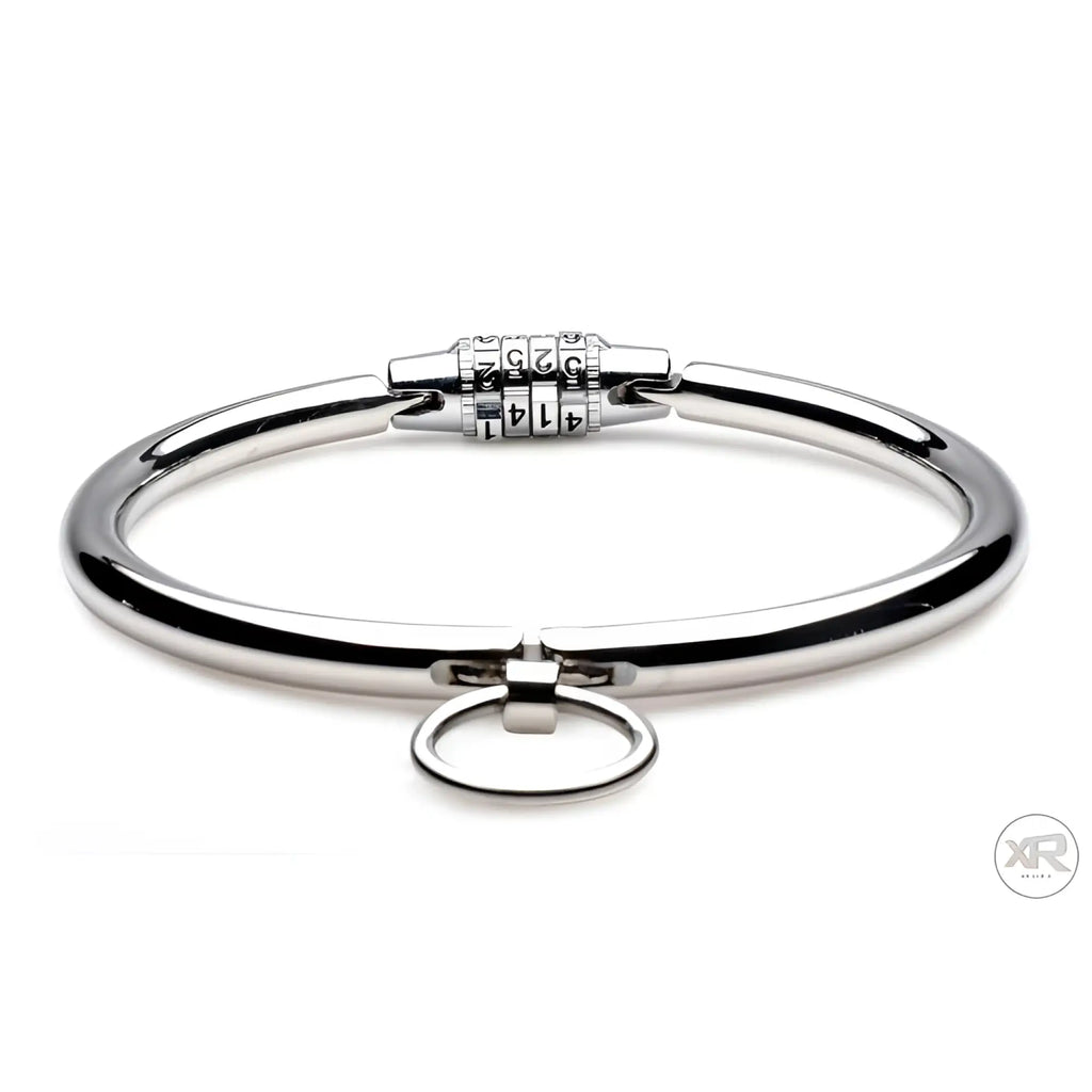 Master Series stainless steel silver collar with a combination lock and a central ring detail.