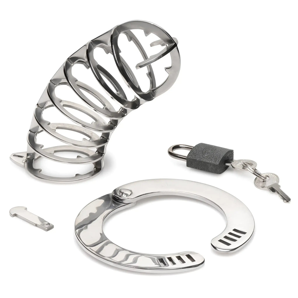 Master Series stainless steel spiked cage set, including a curved cage, base ring, padlock, and keys on white.
