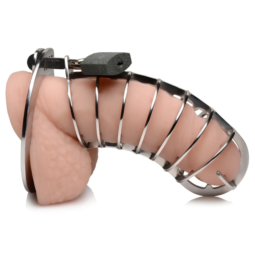 Master Series stainless steel cage with a padlock on a realistic silicone model. Side view, metallic finish.