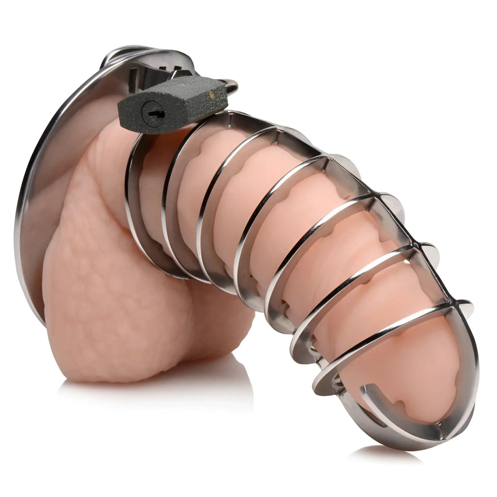Master Series stainless steel spiked chastity cage worn on a skin-tone penis model with a small padlock attached.
