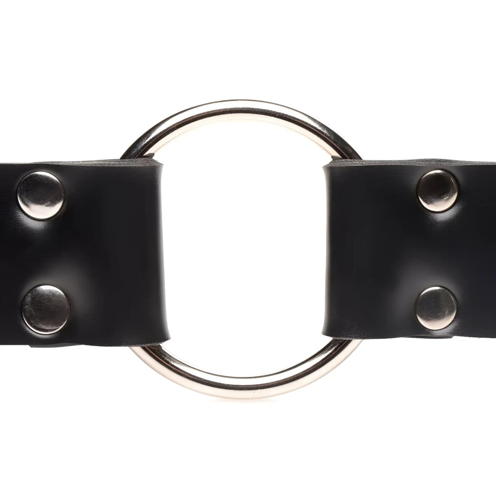 Master Series Strap and Ride harness: black leather strap with silver-tone metal O-ring and chrome stud fasteners.