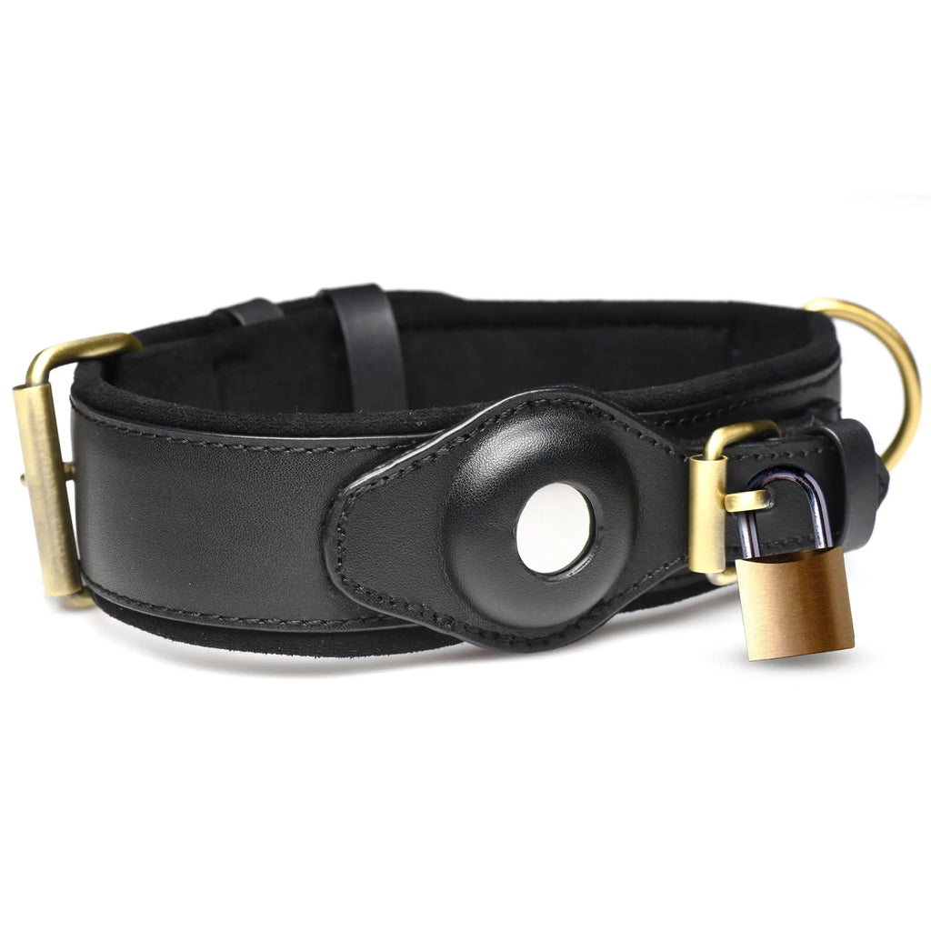 Master Series Tracer Tracking Collar in black leather with an integrated tracker mount, brass hardware, and padlock.