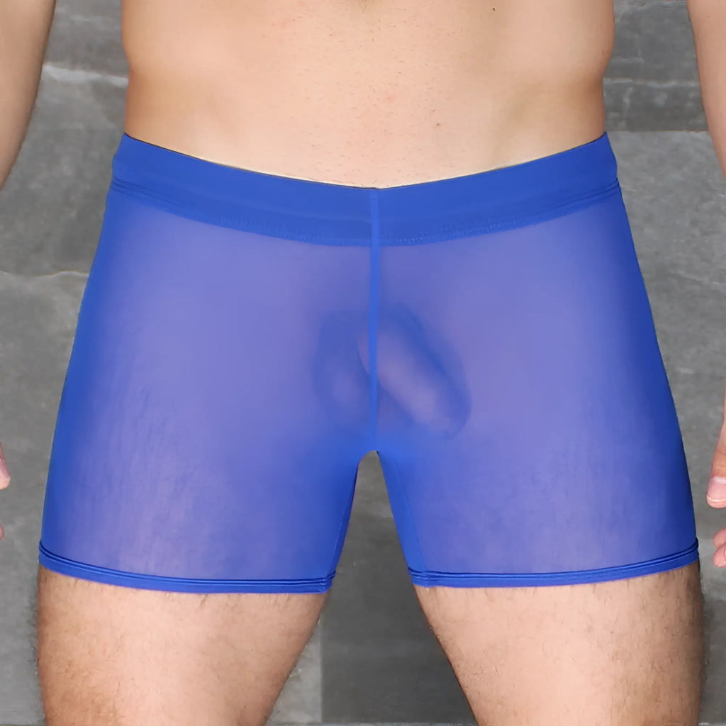 Blue sheer mesh briefs with a solid blue waistband from mckillop daus tackle shorts ultra mesh collection