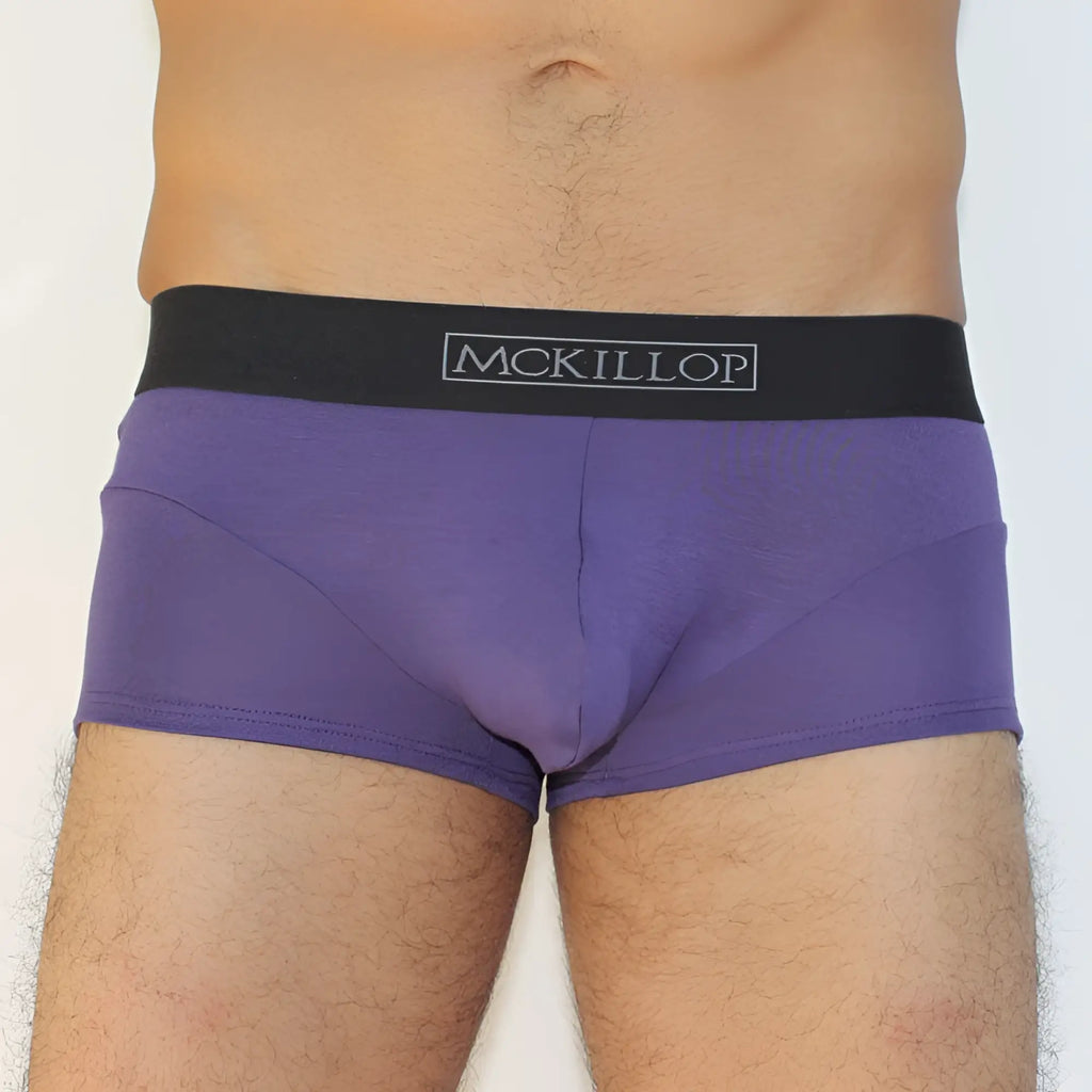 Purple mckillop jagger modal boxer briefs with black waistband in eggplant color size s front view