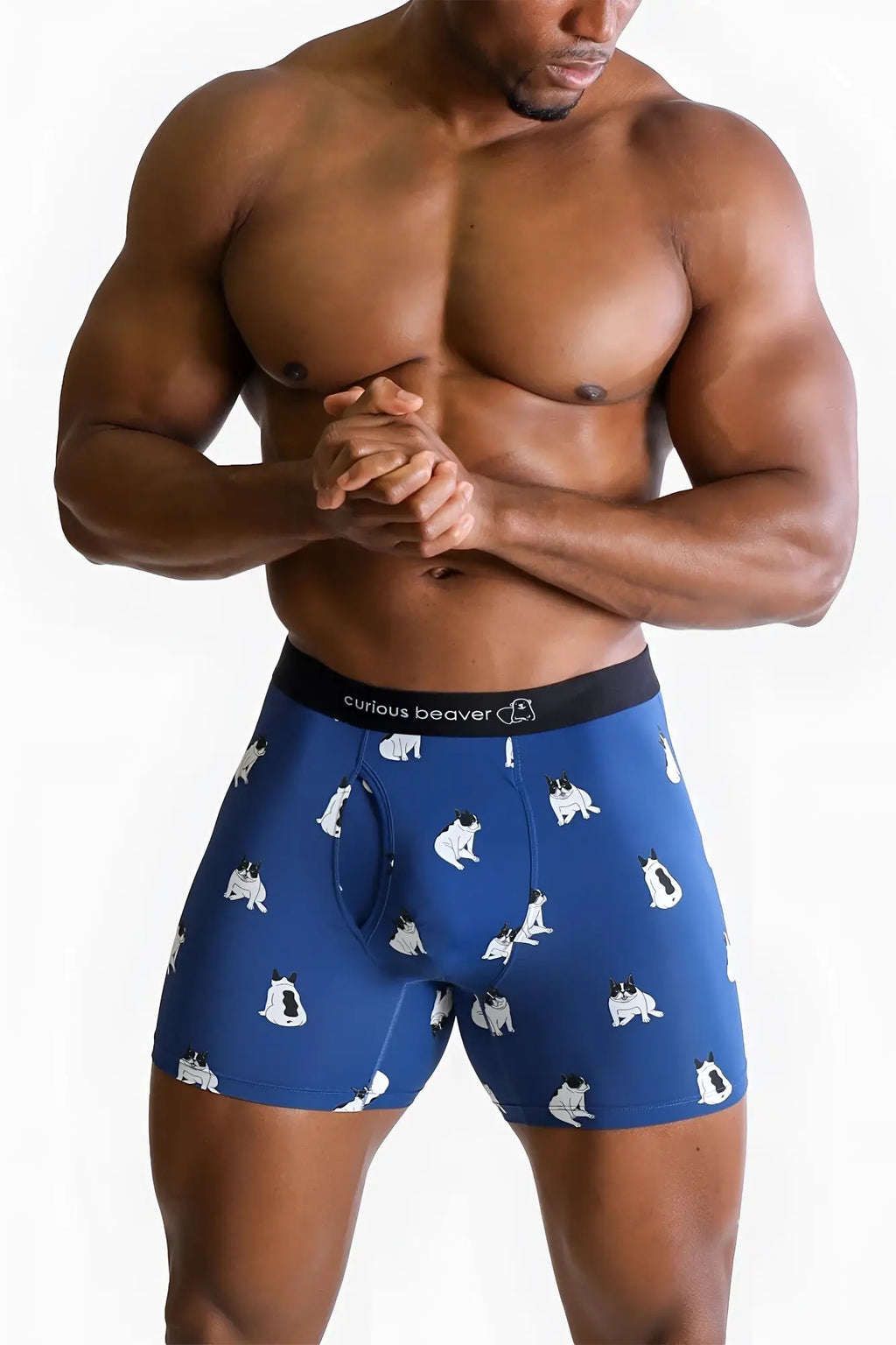 Men’s blue boxer briefs with white pug dog pattern and curious beaver waistband from the bulldogs collection