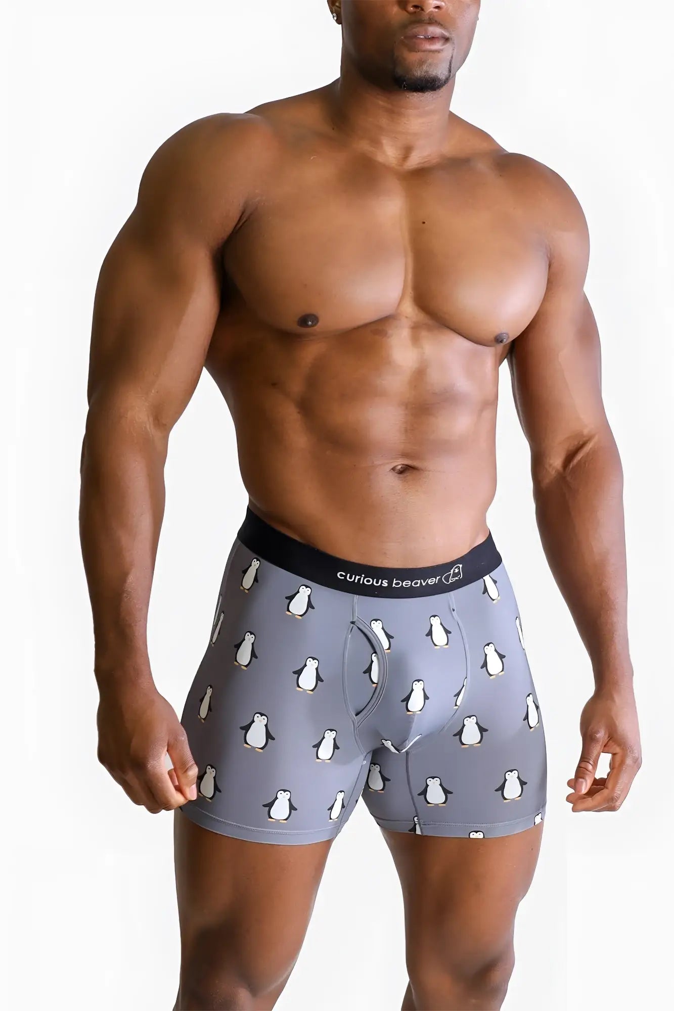 Men’s gray boxer briefs with white penguin pattern and black elastic waistband featuring curious beaver brand name