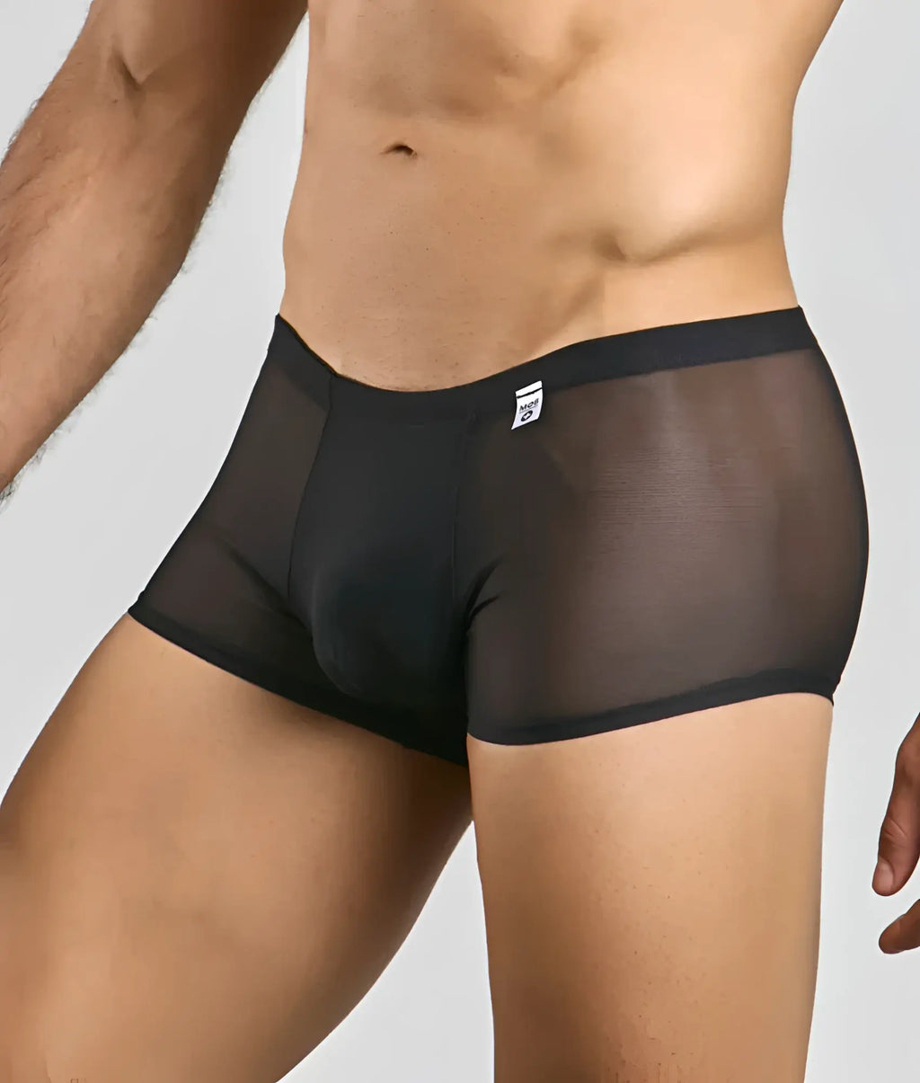 Men’s mesh lace pouch trunk in black sheer mesh with solid waistband and small white brand tag visible