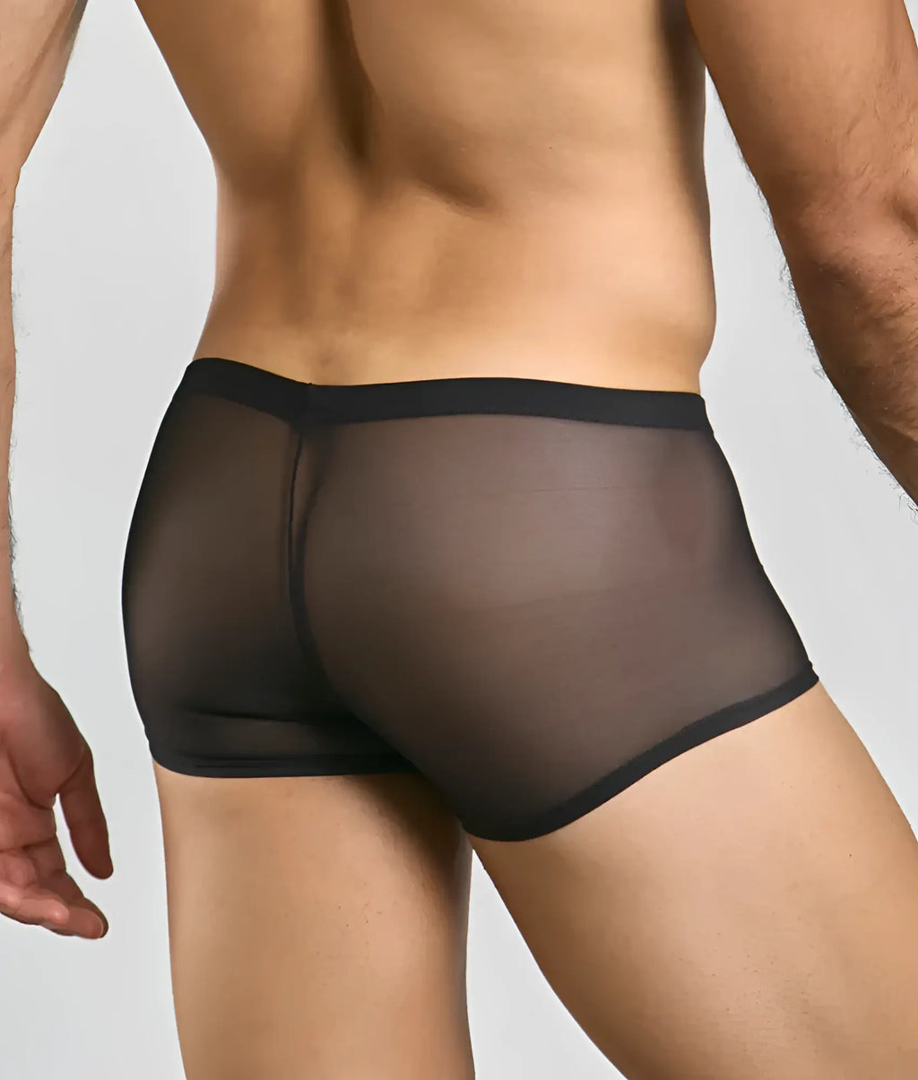Mens mesh lace pouch trunk in black sheer mesh with solid black waistband front view