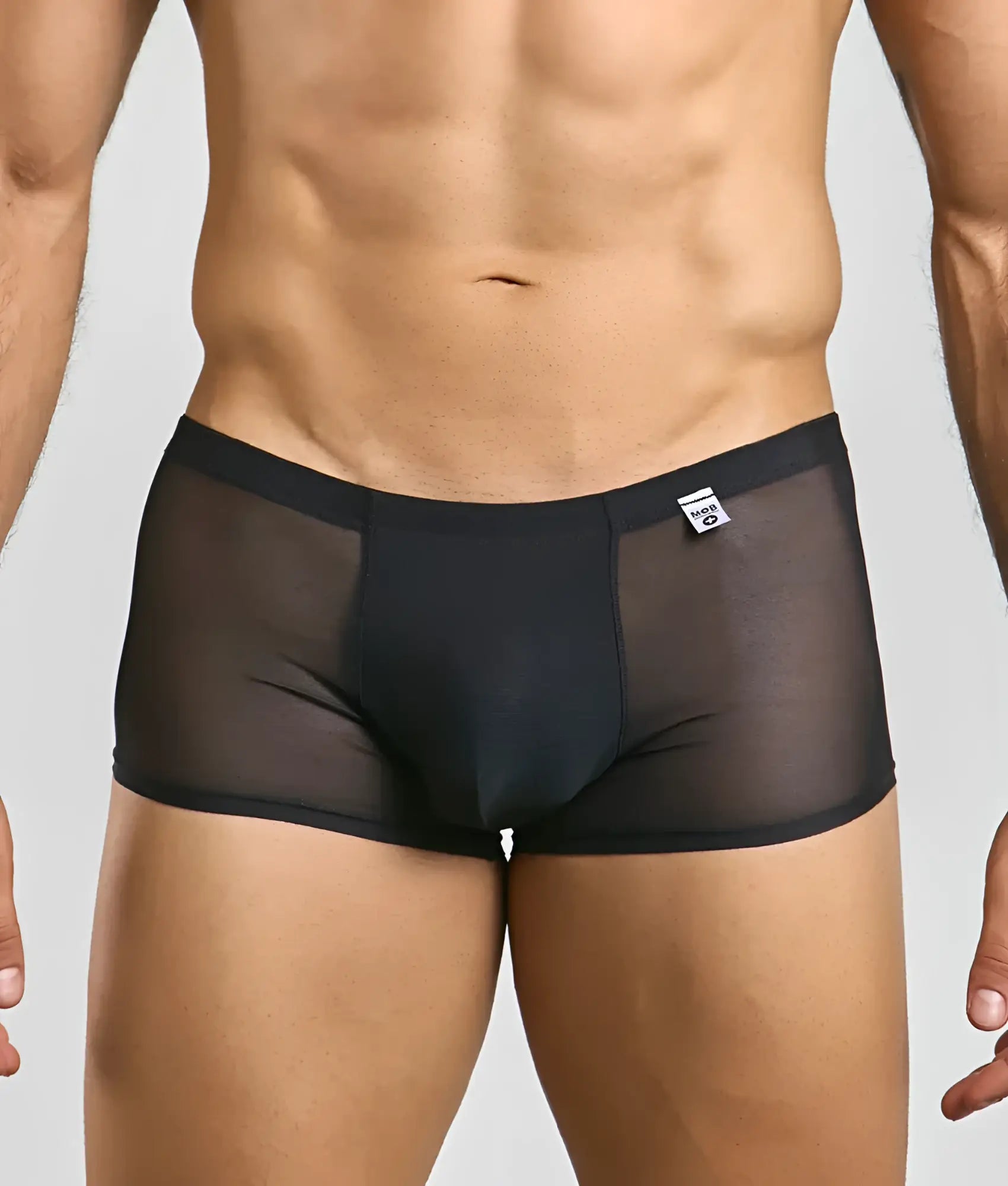 Men’s mesh lace pouch trunk in black sheer mesh with solid waistband and small white brand tag visible
