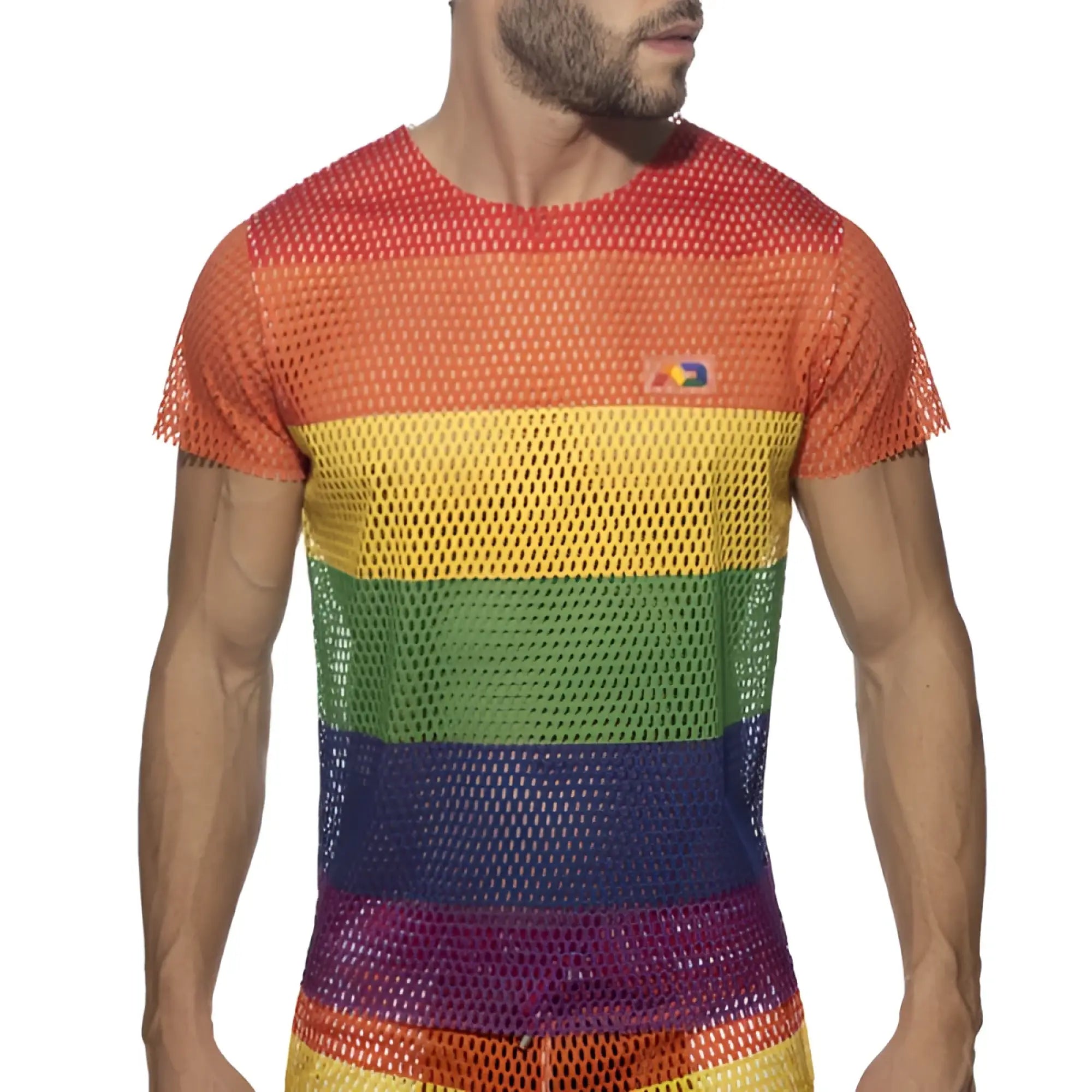 Mesh rainbow t-shirt for men features rainbow-striped mesh fabric and a small logo on the chest