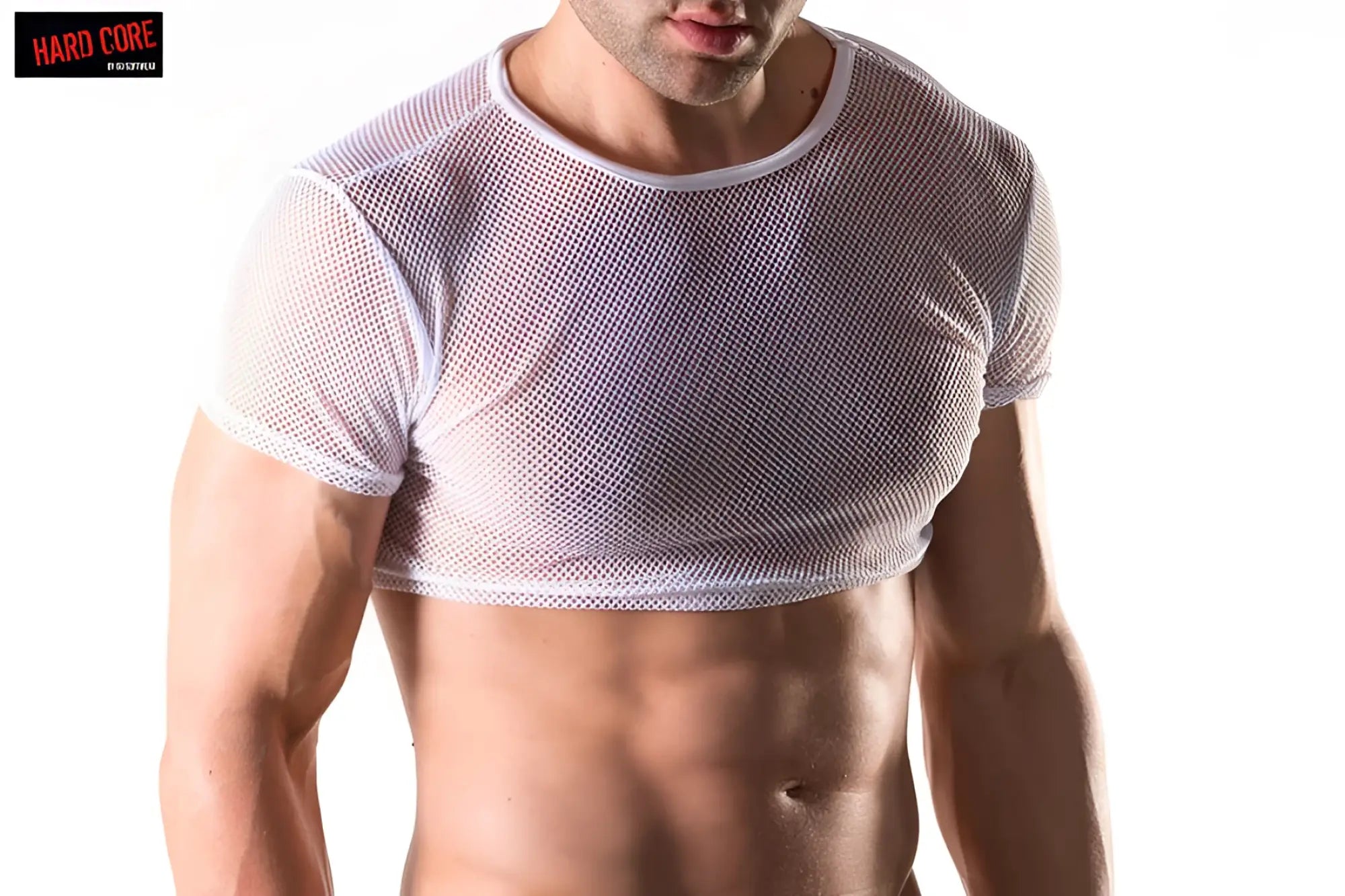 White mesh crop top mesh shimmel tee with short sleeves and round neckline for casual wear