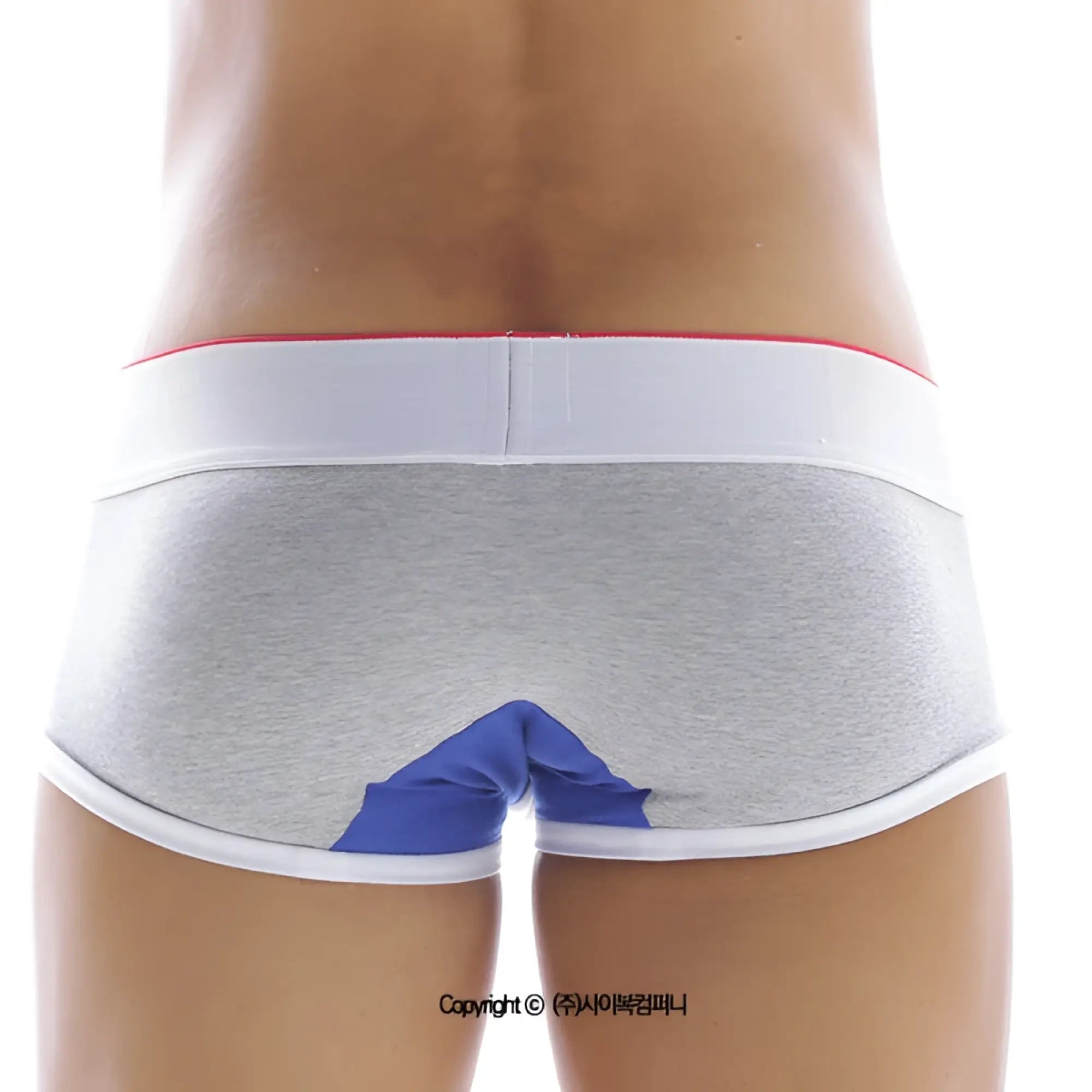 Gray heathered briefs with white elastic waistband red trim and blue triangular design on back metroMaleWear 69ers boxer
