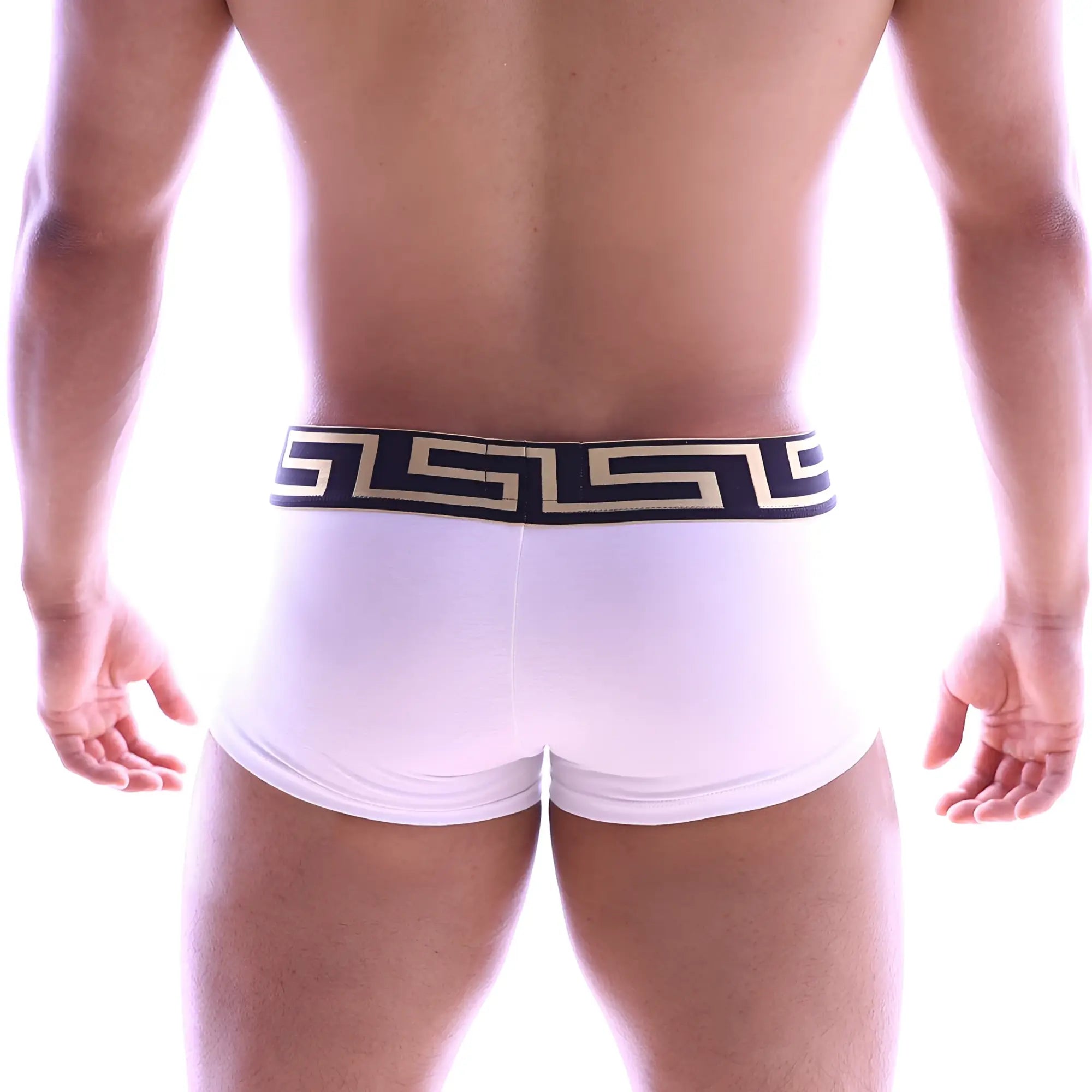 White briefs metro malewear asian short boxer with black and gold greek key patterned waistband in white