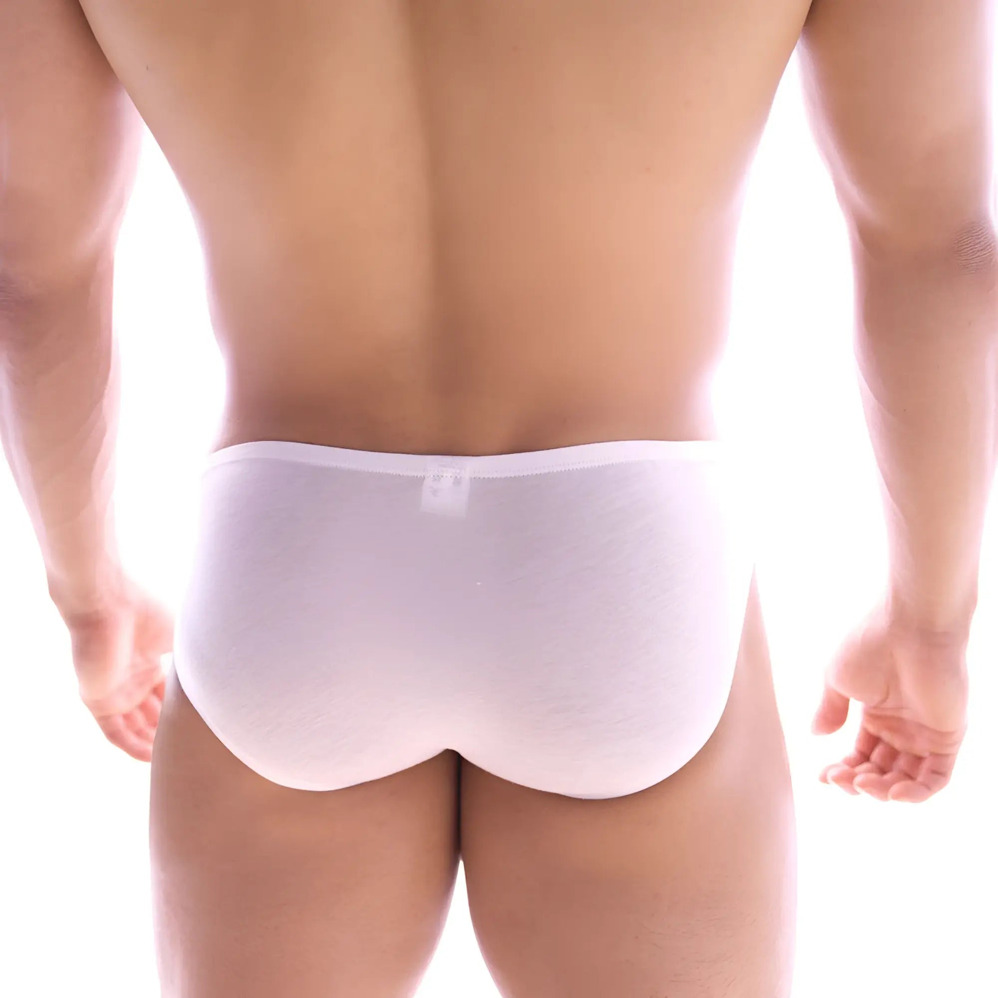 White cotton briefs metrobralewear bosillo brief 3505-00 with smooth fitted design for comfortable wear