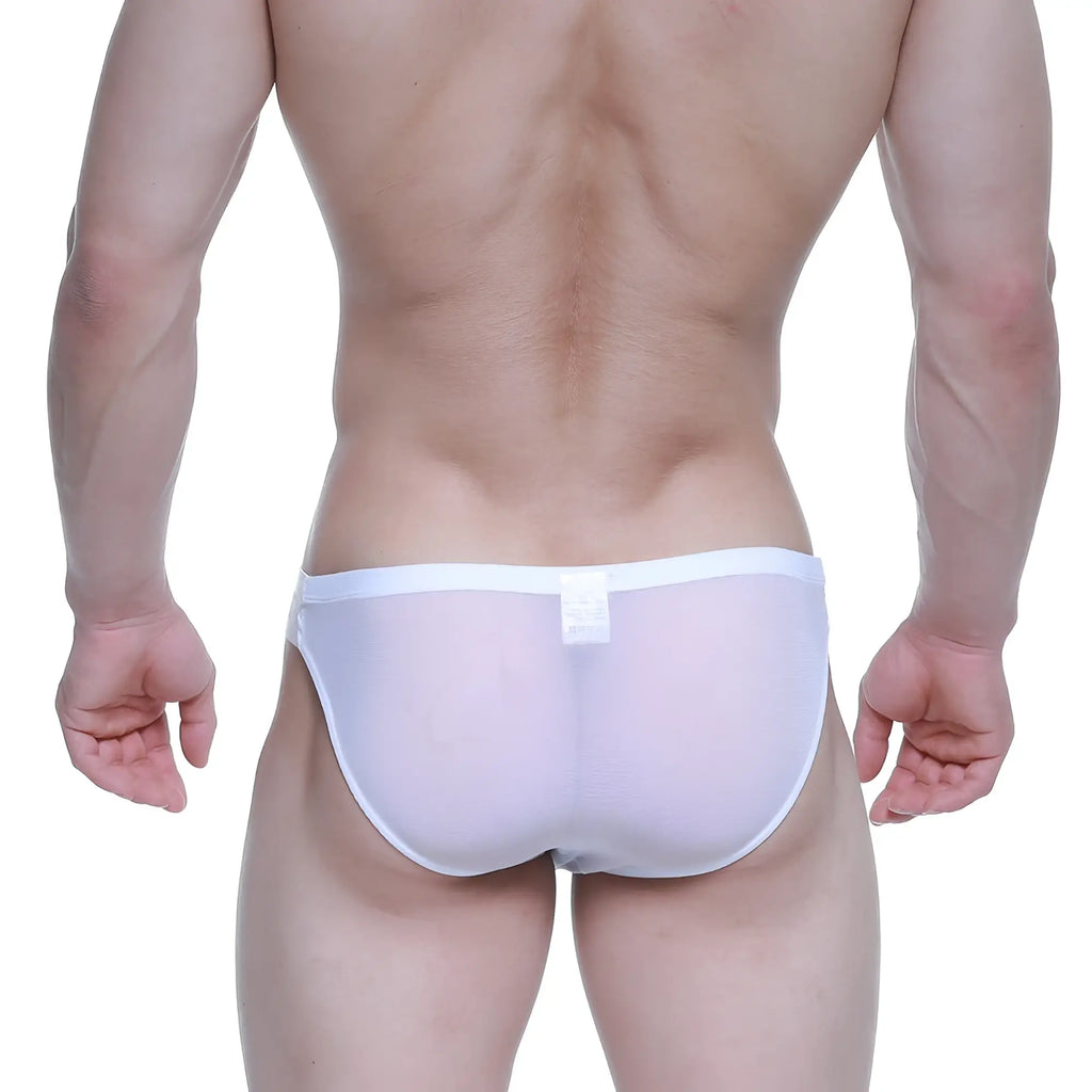 White sheer mesh briefs with solid white waistband from metromalewear brief 2.0 attraction 3603-71 collection