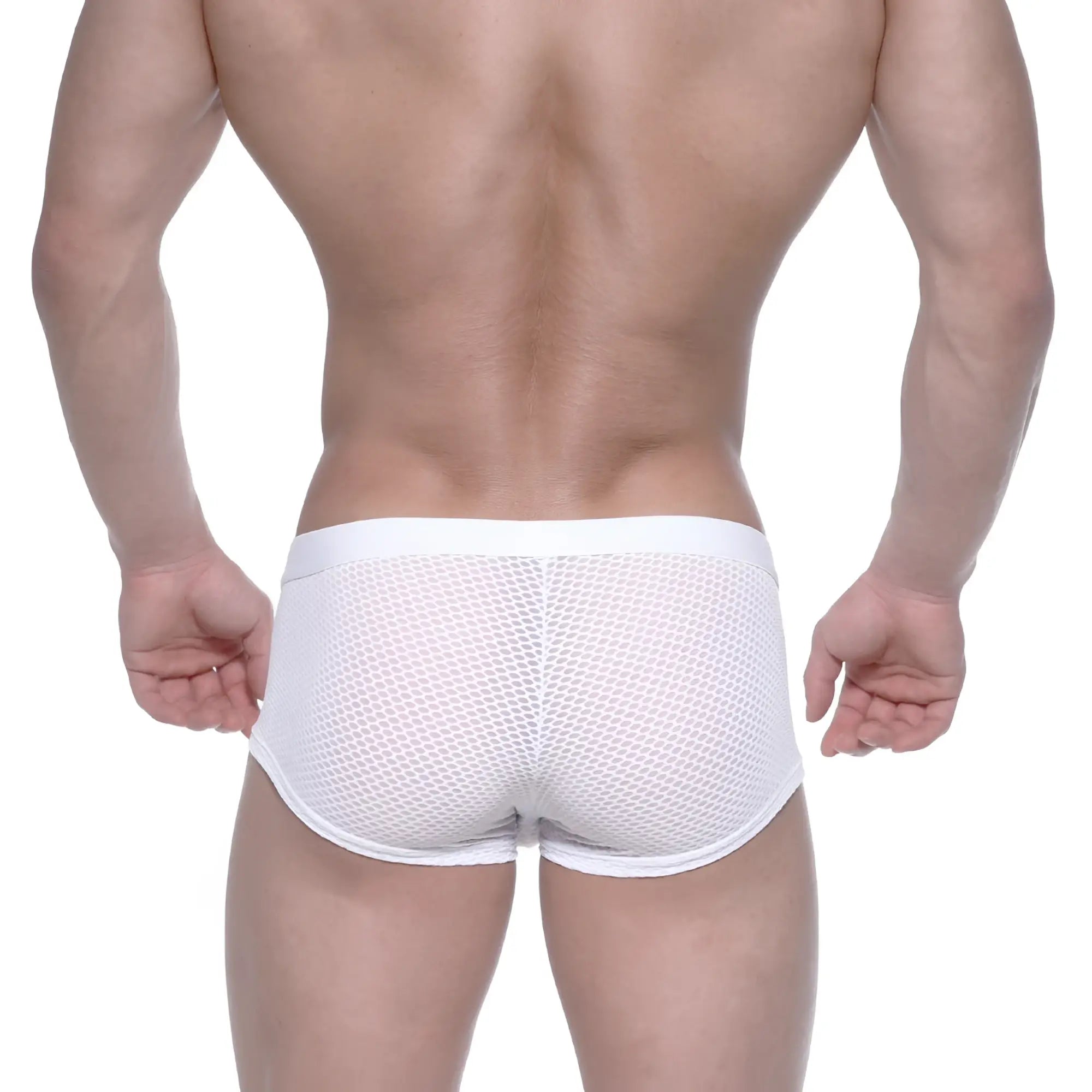 White mesh briefs with solid white waistband from metromalewear bulge boxer 3013-71 front view