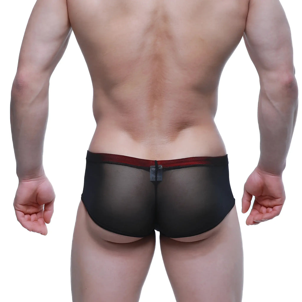 MetroMaleWear cheek patron 2028-71 black sheer mesh briefs with contrasting red waistband front view