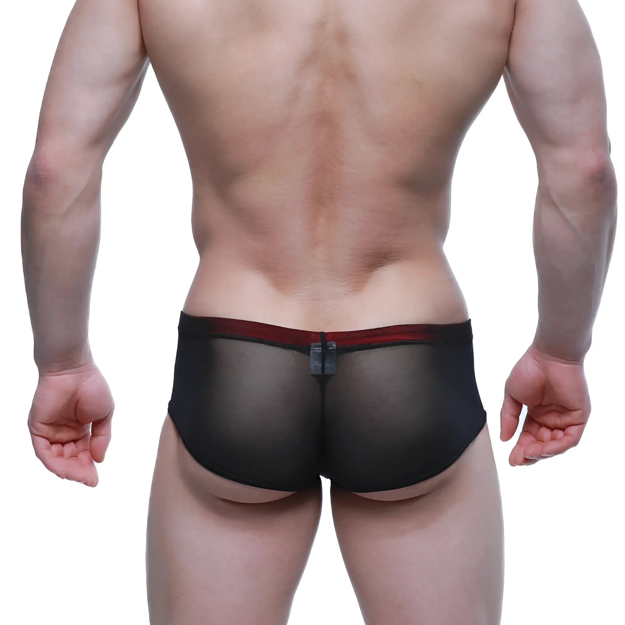 MetroMaleWear cheek patron 2028-71 black sheer mesh briefs with contrasting red waistband front view