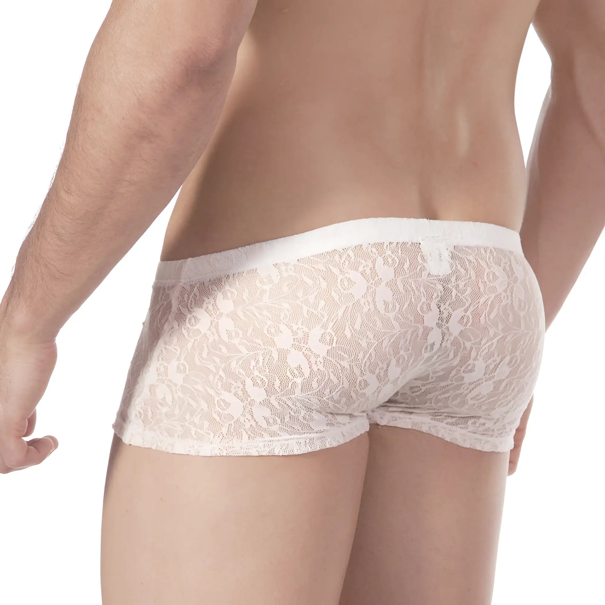White lace men’s briefs metroMaleWear enhancement boxer lace nude 2043-71 with delicate floral pattern and elastic waistband