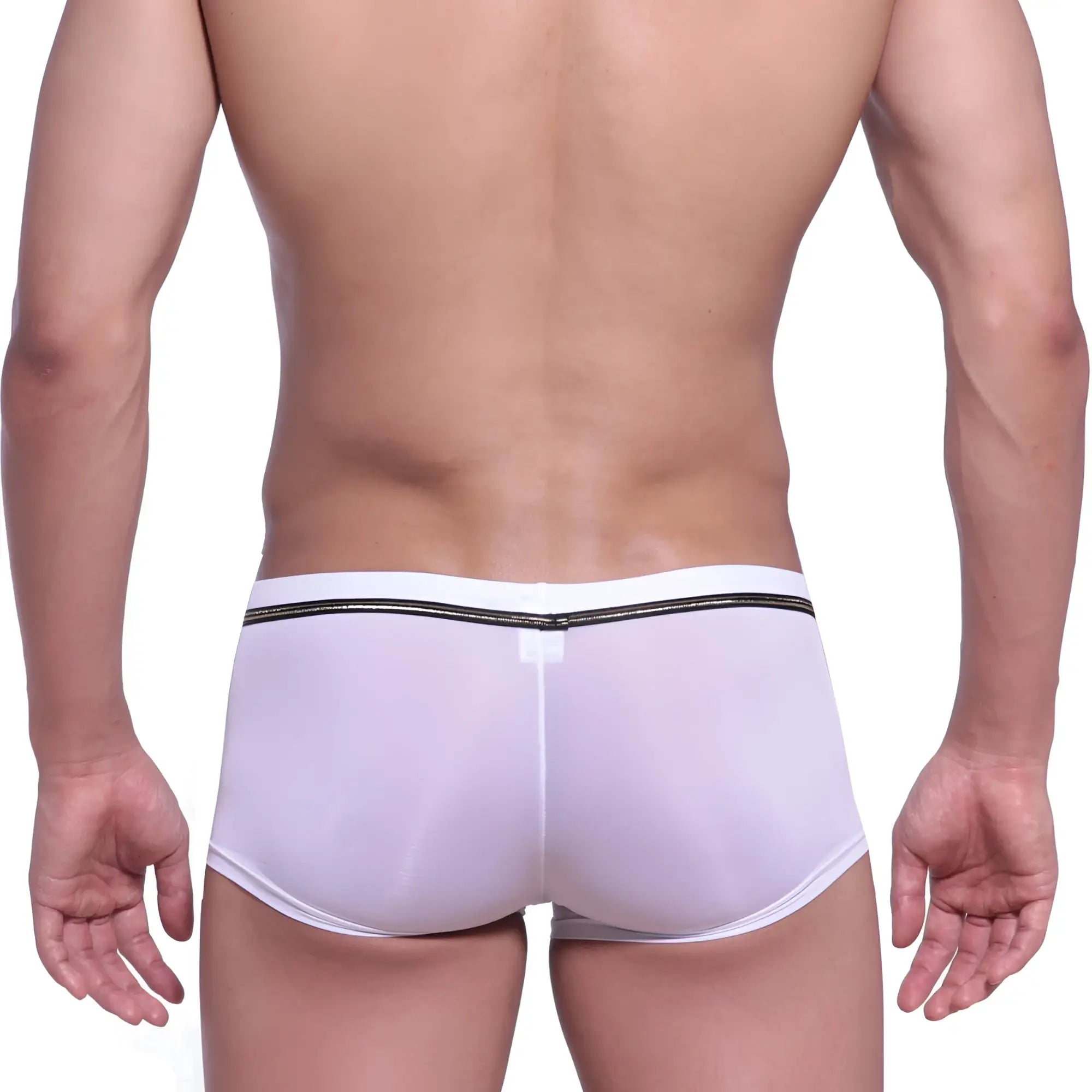 Back view of metro malewear faro boxer brief white 2026-39 sheer briefs with black elastic waistband and white logo