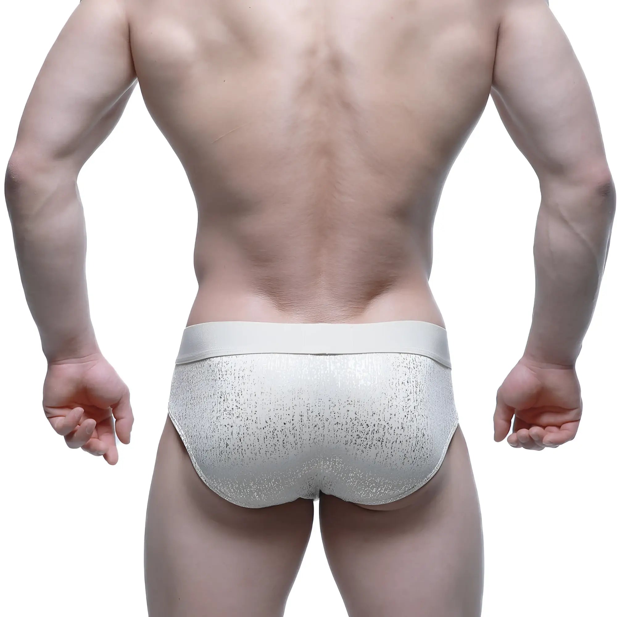 MetroMaleWear Gloria Brief 5003-57 silver glitter-textured briefs with light gray solid waistband front view