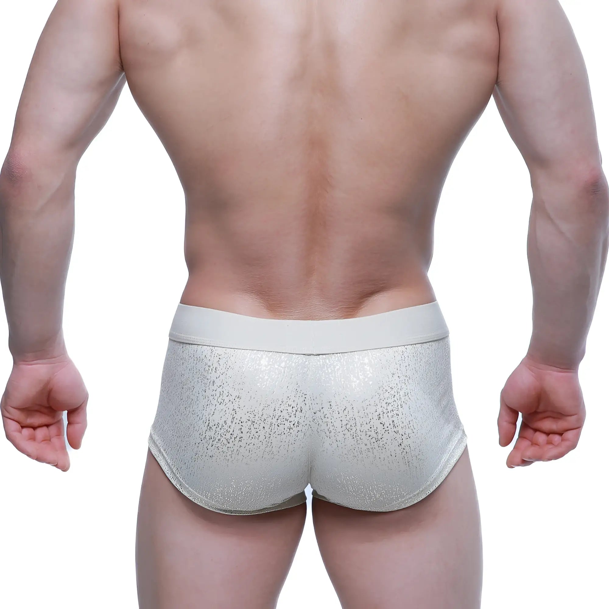 Silver glittery briefs with solid light gray waistband metro male wear gloria short boxer 2026-57 front view