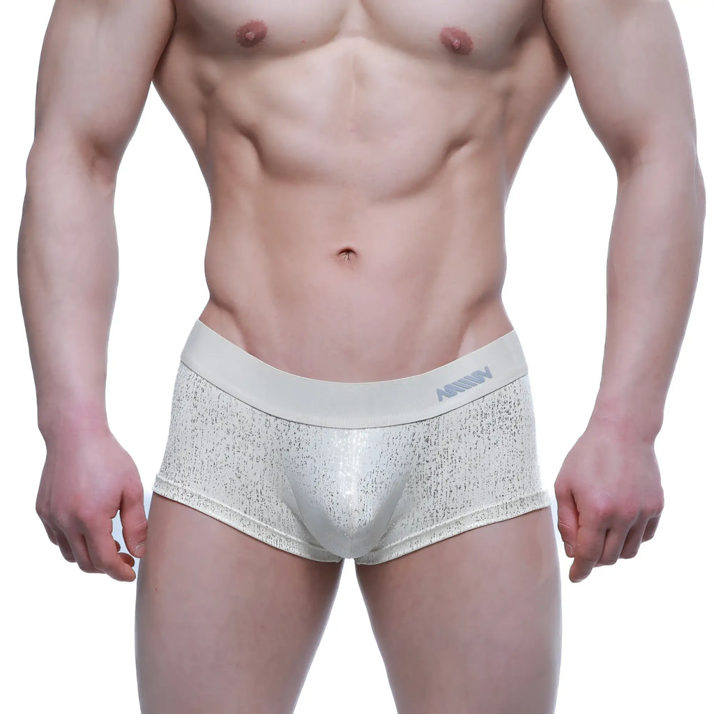 Silver metallic textured briefs with subtle shimmer and branded waistband metro male wear gloria short boxer 2026-57