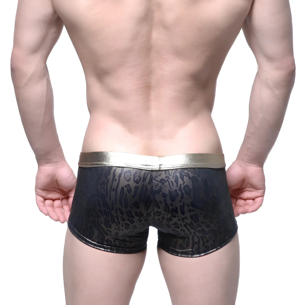 MetroMaleWear gloss trunk gold 2026-78 black leopard print briefs with shiny gold waistband for stylish comfort