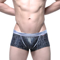 Black leopard-print mesh briefs with silver velvet waistband from MetroMaleWear gloss trunk 2026-79 collection