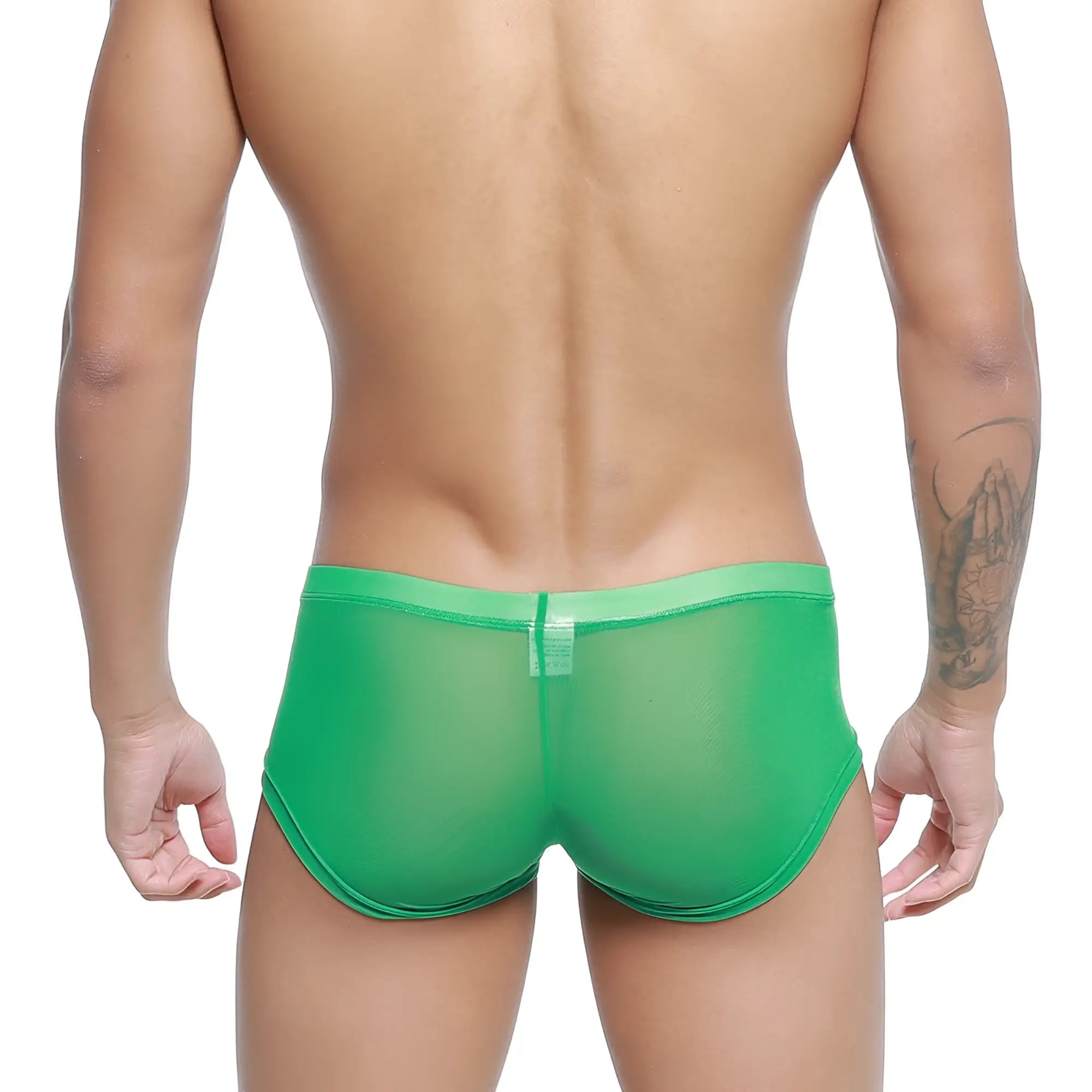 MetroMaleWear Hierba Trunk 2125-17 green sheer mesh briefs with solid green waistband front view
