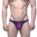 Purple and navy blue mesh thong by metromalewear with sleek form fitting design in the back view