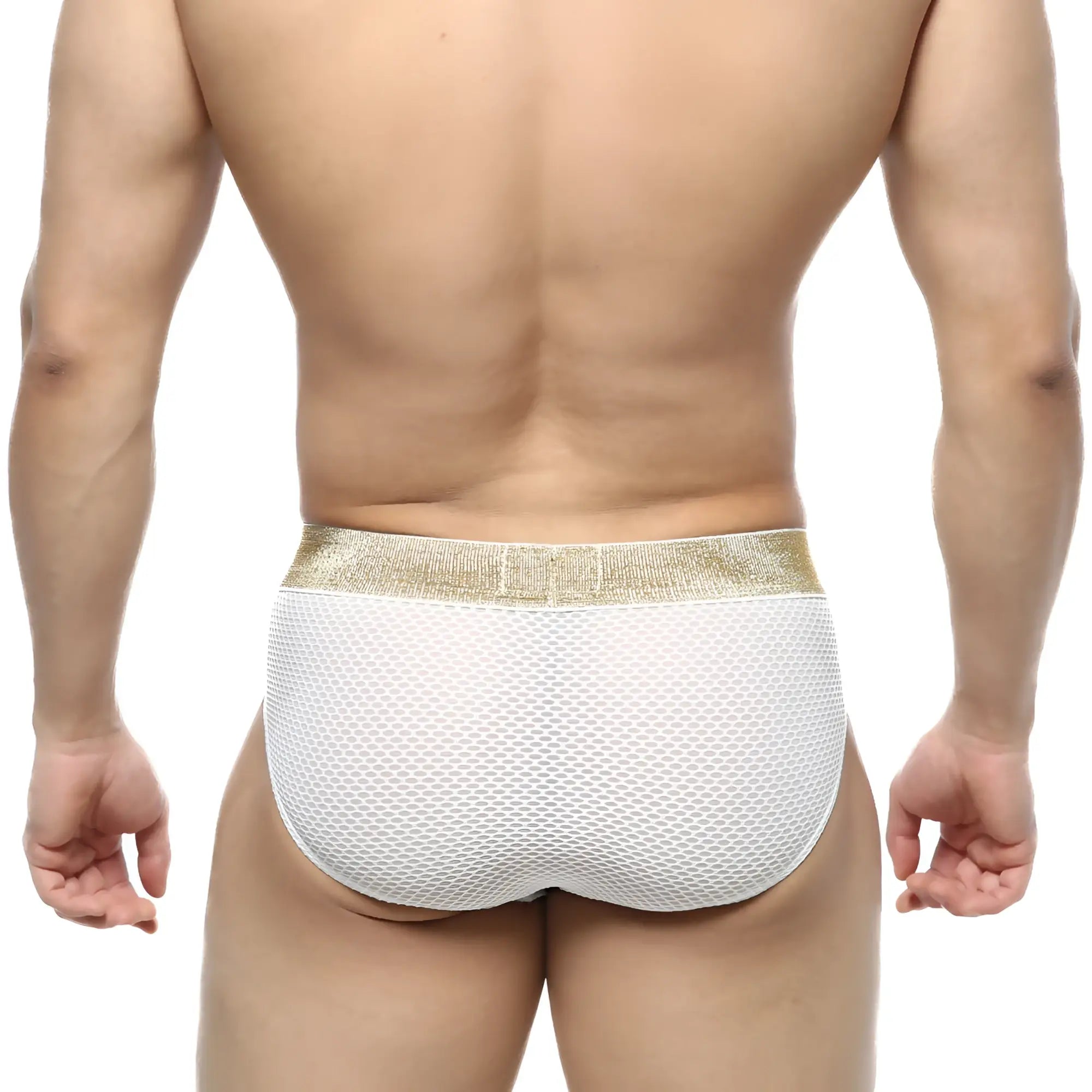 White mesh briefs with a shimmering gold waistband from metromalewear luxury hip brief white 5003-06 collection