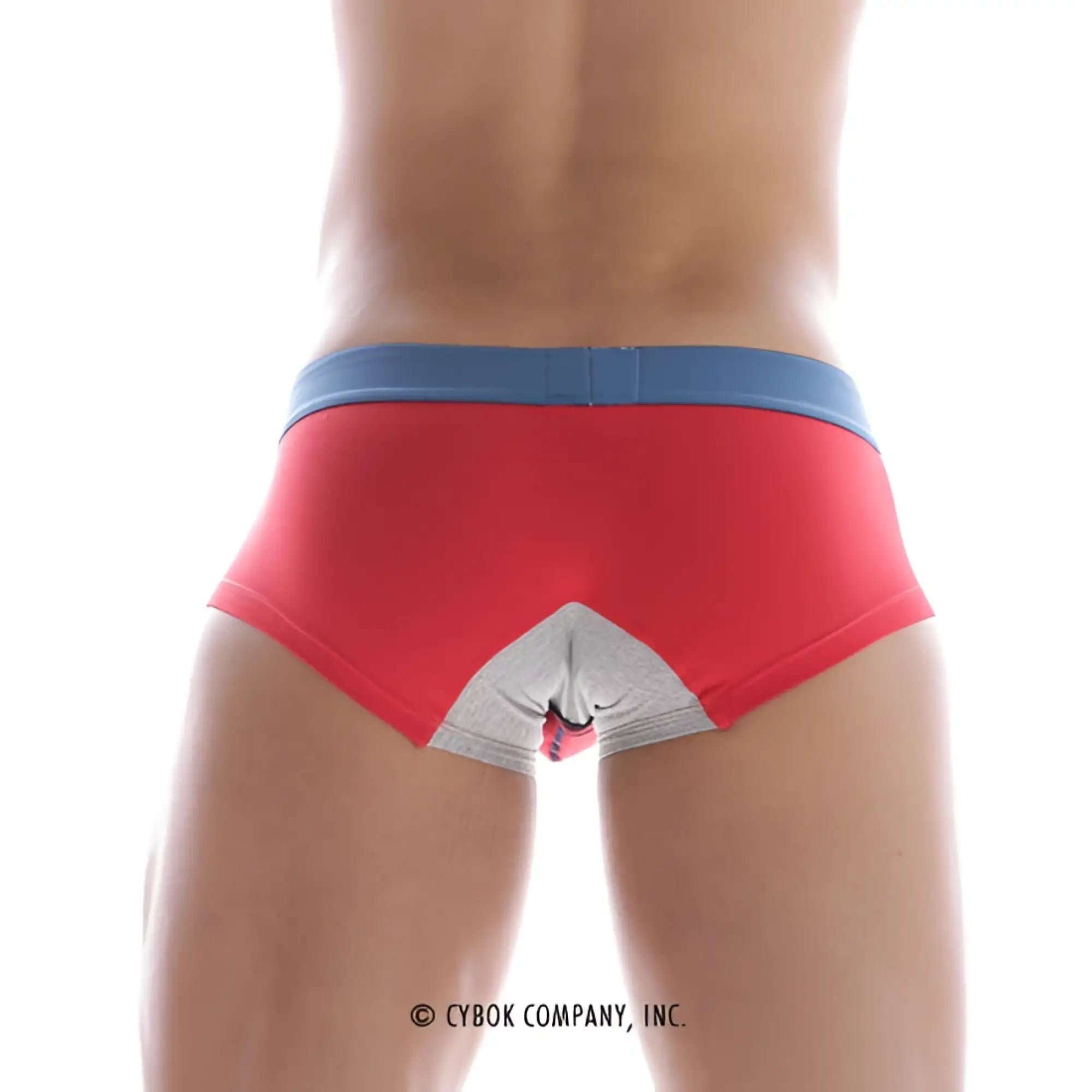 Back side of metroMalewear micro mini boxer red 7013-12 briefs with blue waistband and white triangular pattern