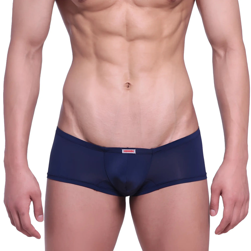 Navy blue sheer mesh briefs with red and white MetroMaleWear brand tag at waistband model Minimo Boxer 2013-28