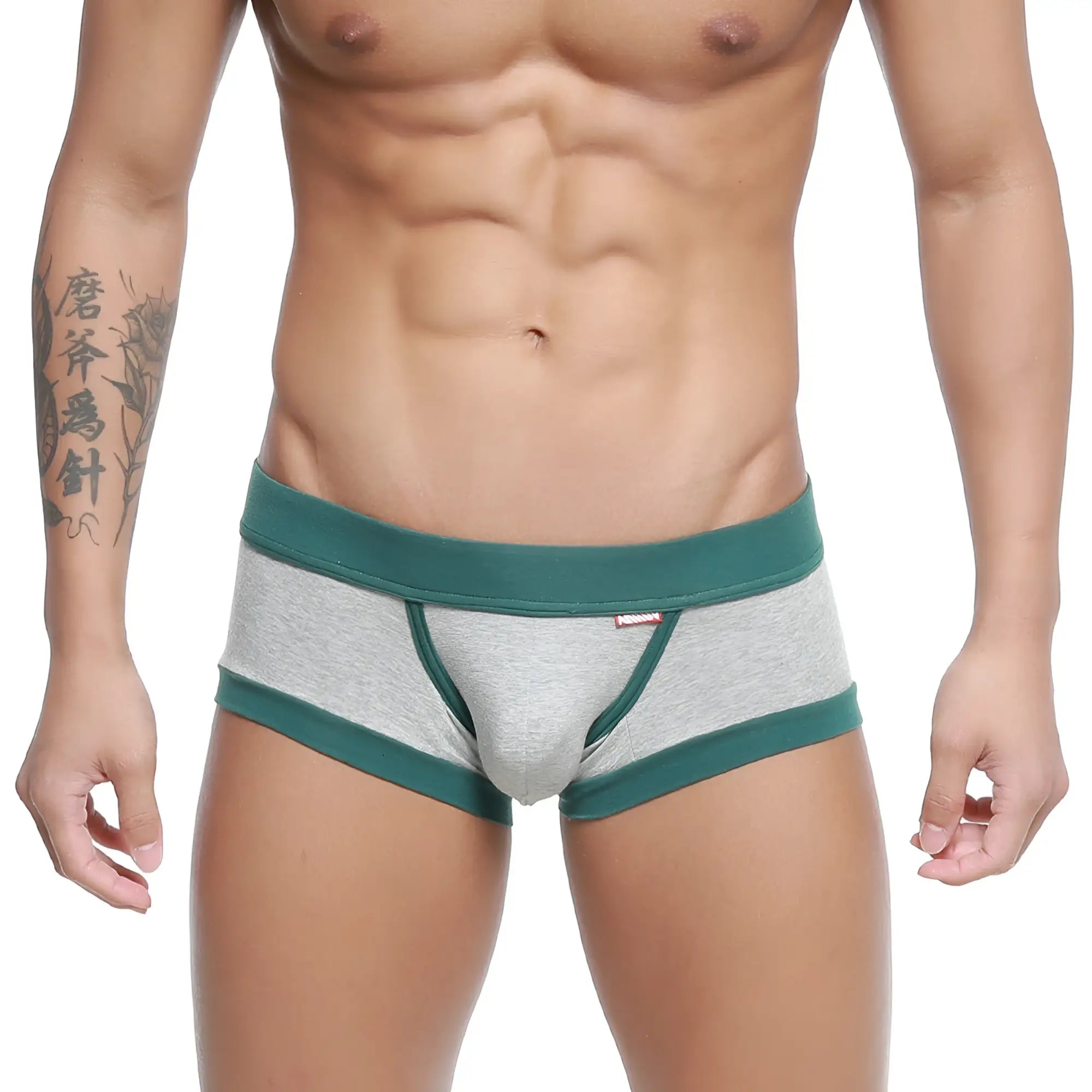 Metro male wear nano trunk gray 7016-10 gray heathered men’s briefs with teal elastic waistband and leg openings