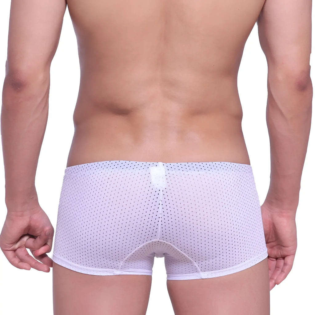 White mesh briefs with subtle dot pattern and reinforced waistband from MetroMaleWear neon boxer white 1222-00