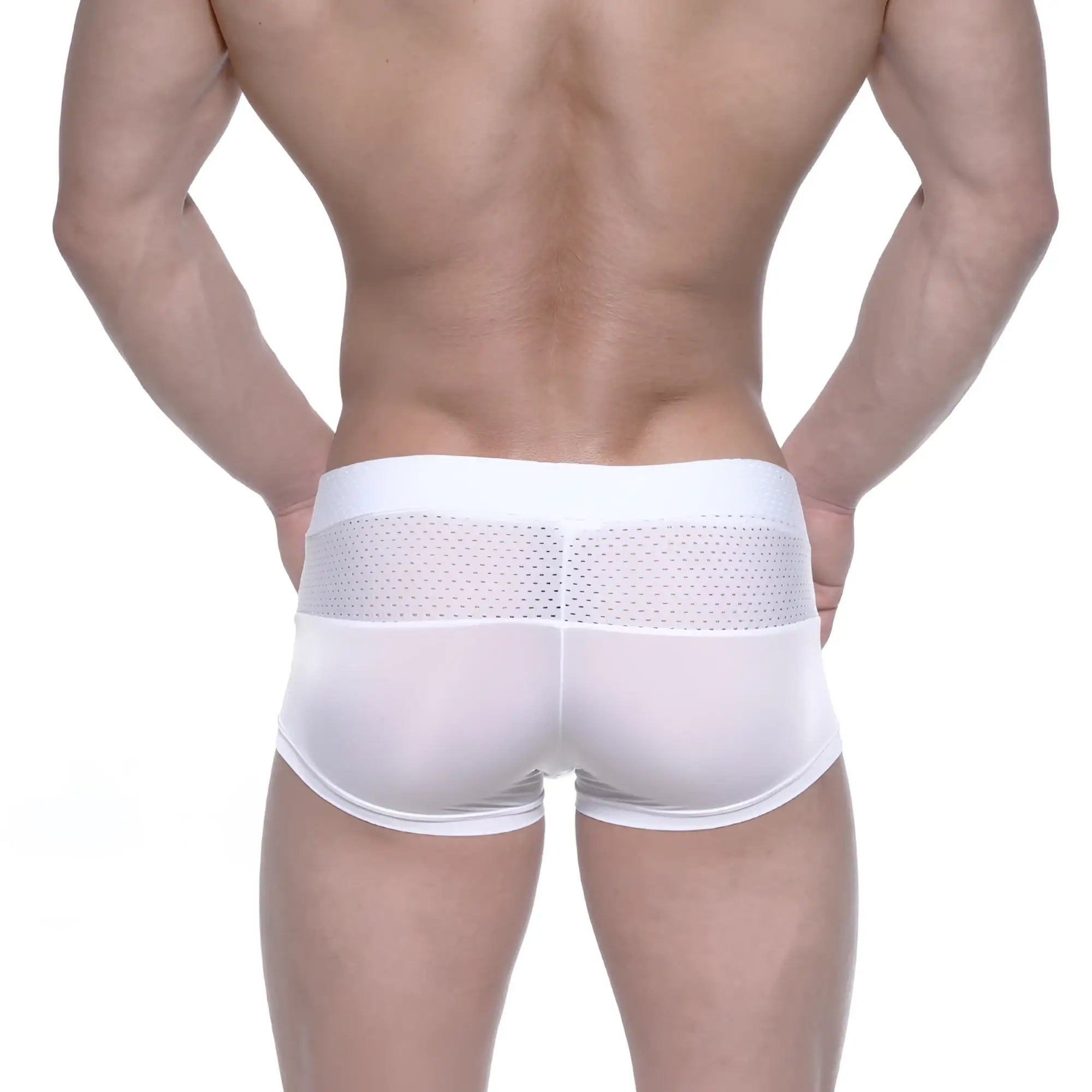 White athletic briefs with a mesh panel across the back metro male wear noto trunk white 2026-33
