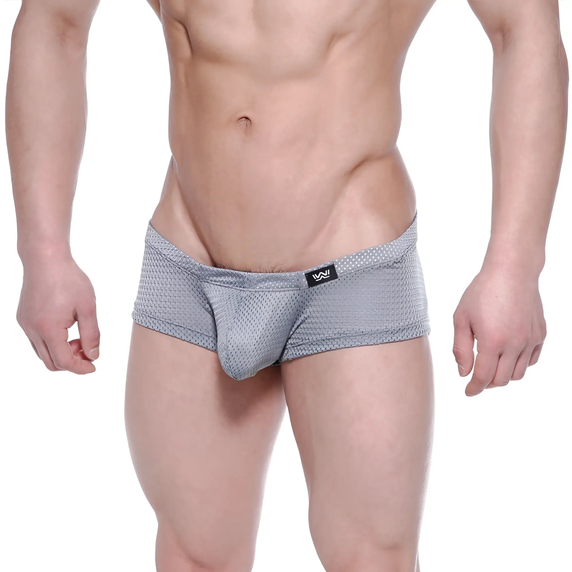 Gray mesh men’s briefs with subtle dotted pattern and black logo waistband metro male wear oscar boxer 2125-42