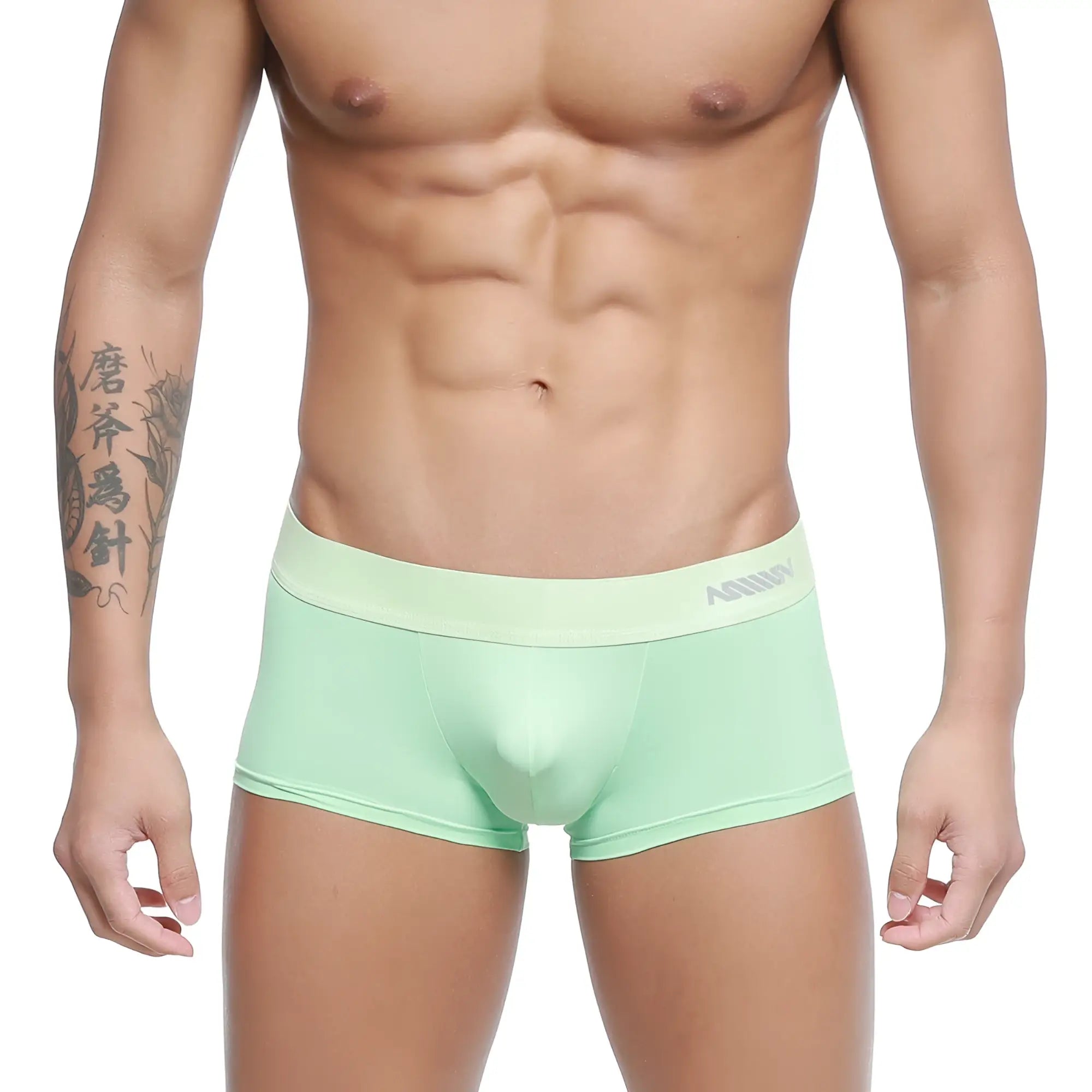Light green form-fitting men’s briefs with elastic waistband branded annuy by metromalewear pastel trunk green 2026-81
