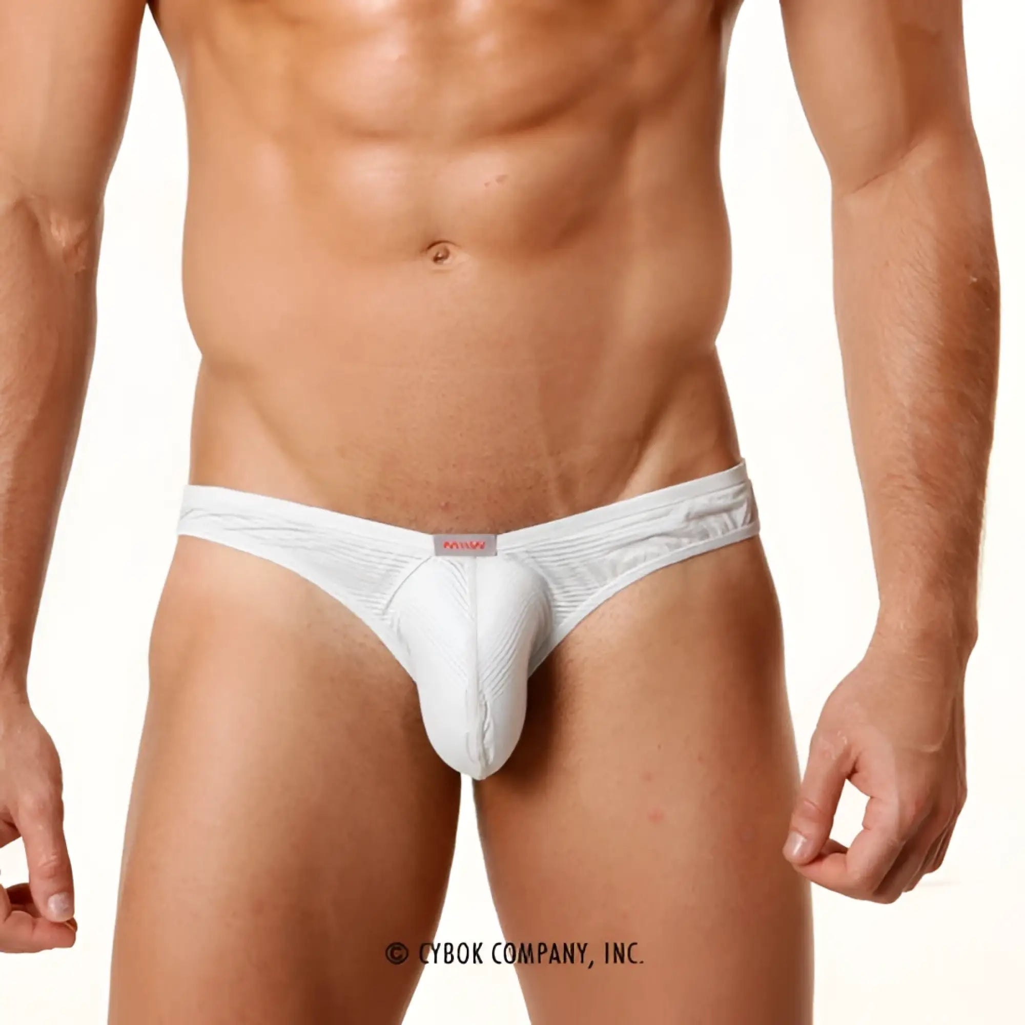 MetroMaleWear perfect scene askin bikini briefs in grey textured fabric with subtle stripes and a red brand tag