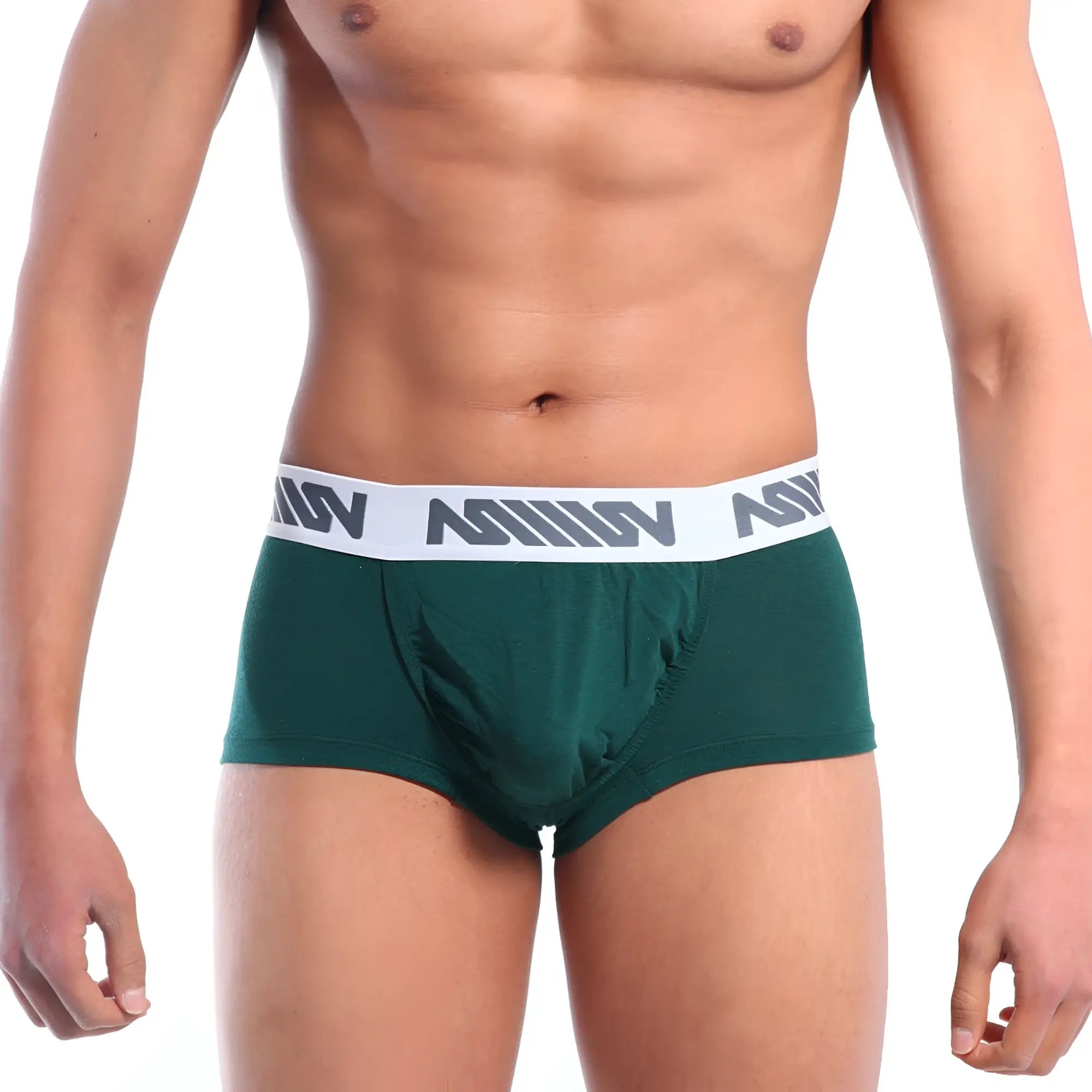 Dark green men’s boxer briefs with white elastic waistband and gray n logo pattern metro male wear pocket short boxer pine green
