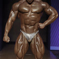 Shiny silver mesh briefs with a textured scale-like pattern from metro malewear white snake posing suit collection