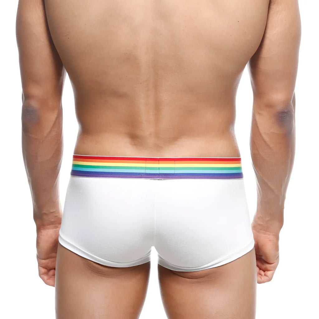 White briefs with a rainbow-striped elastic waistband by MetroMaleWear pride trunk 2026-ro0 for comfortable wear