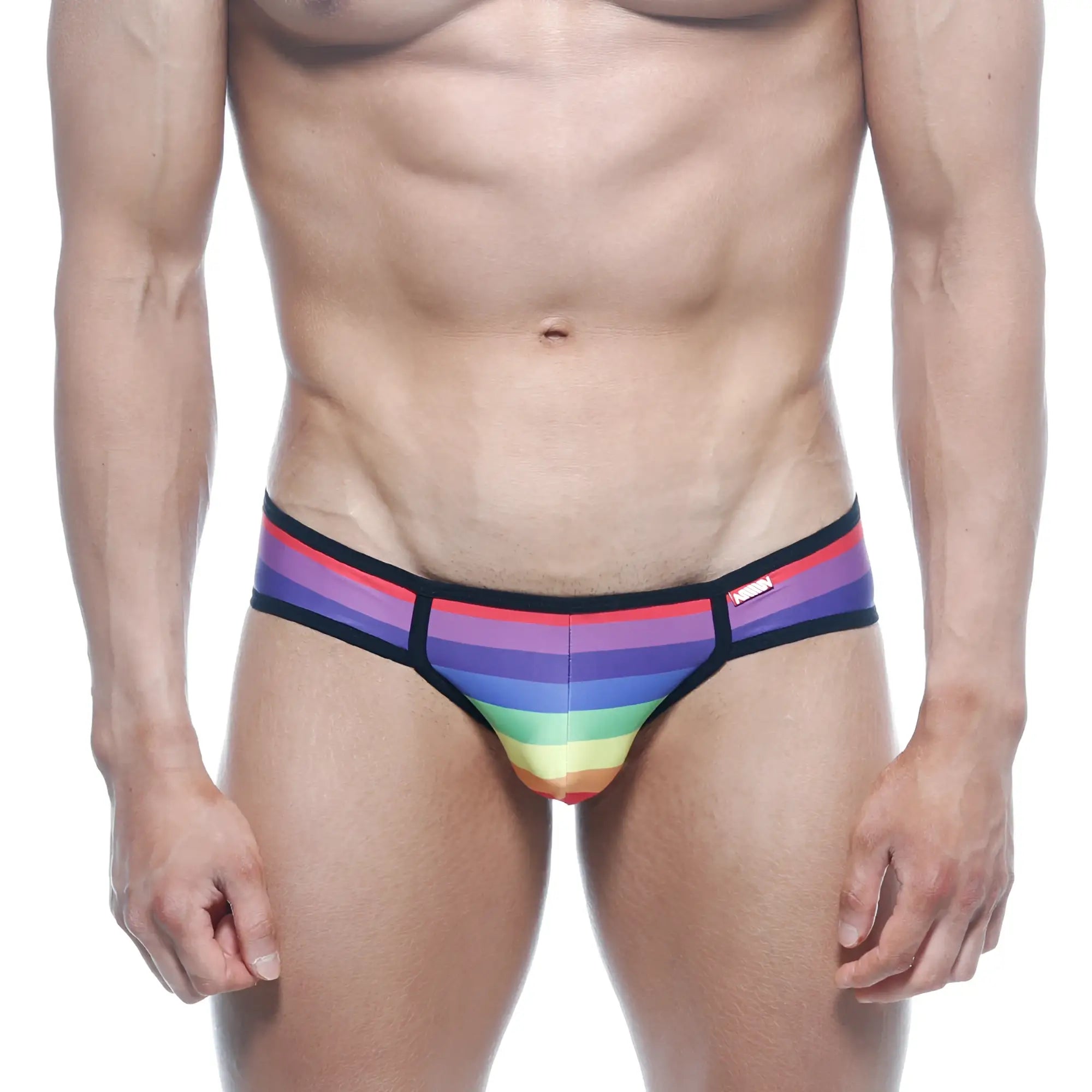 MetroMaleWear rainbow bikini 6105-04 rainbow-striped men briefs with black trim and red brand tag