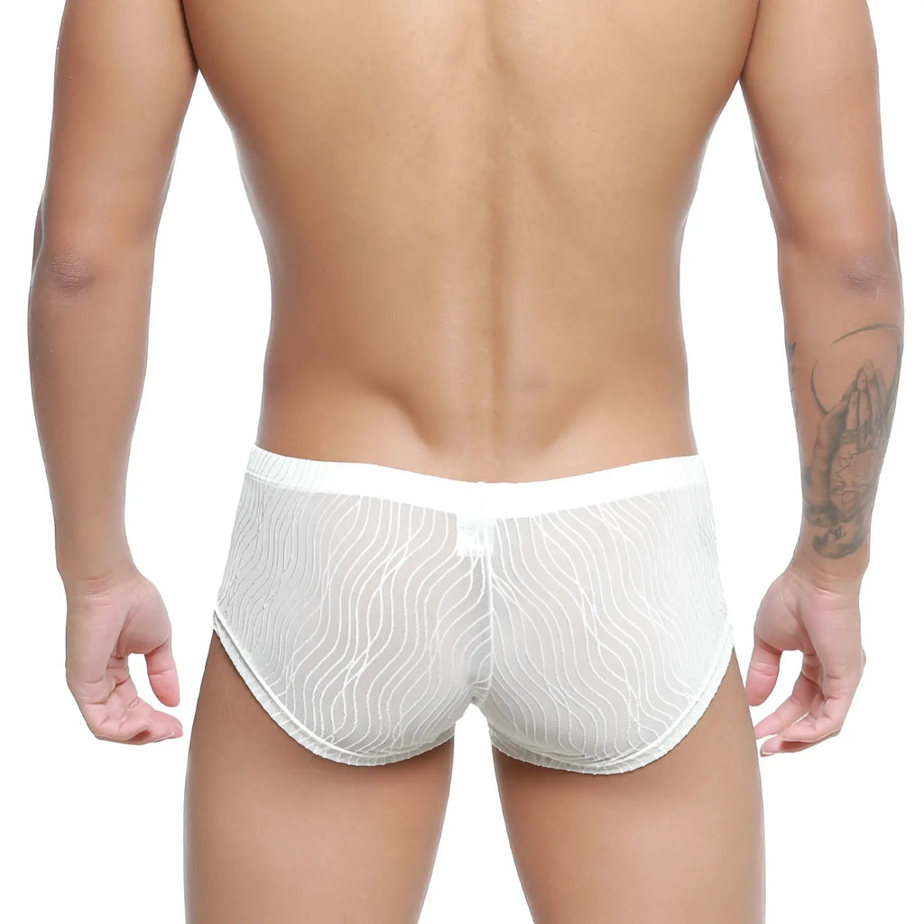 White sheer mesh briefs with a subtle wavy pattern and solid white waistband metro male wear sedosa trunk 2125-32