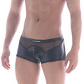 Black glossy mesh briefs with sheer hip trunk design and subtle branding on the waistband by metromalewear