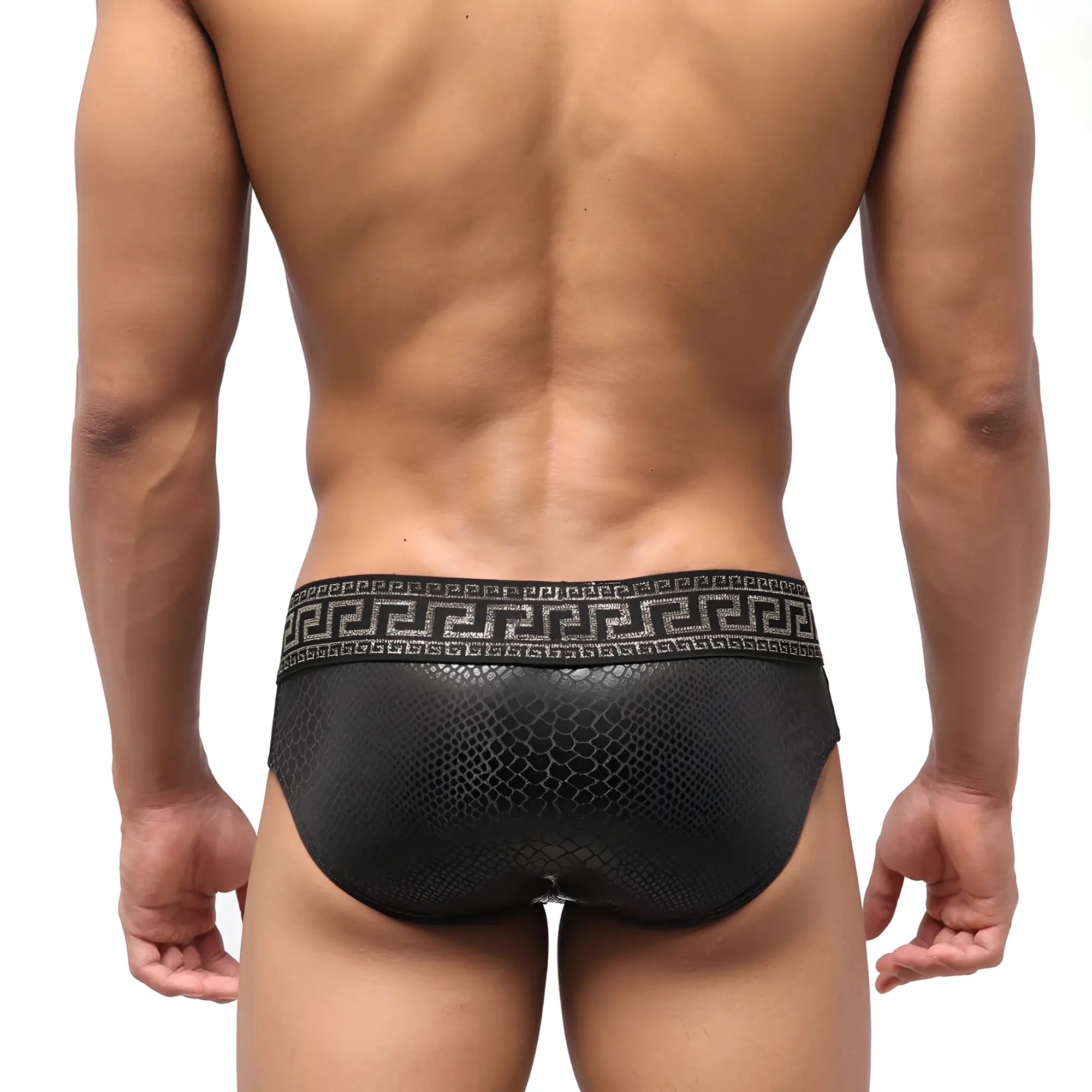 MetroMaleWear special edition anaconda swim brief 4916-SP2 black textured briefs with greek key waistband pattern