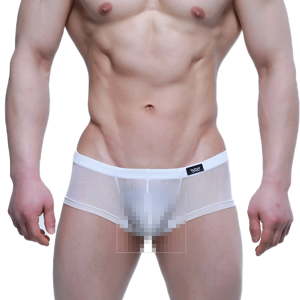 White mesh briefs with solid white waistband and small black logo on left side metro male wear tull blanco trunk 2125 68